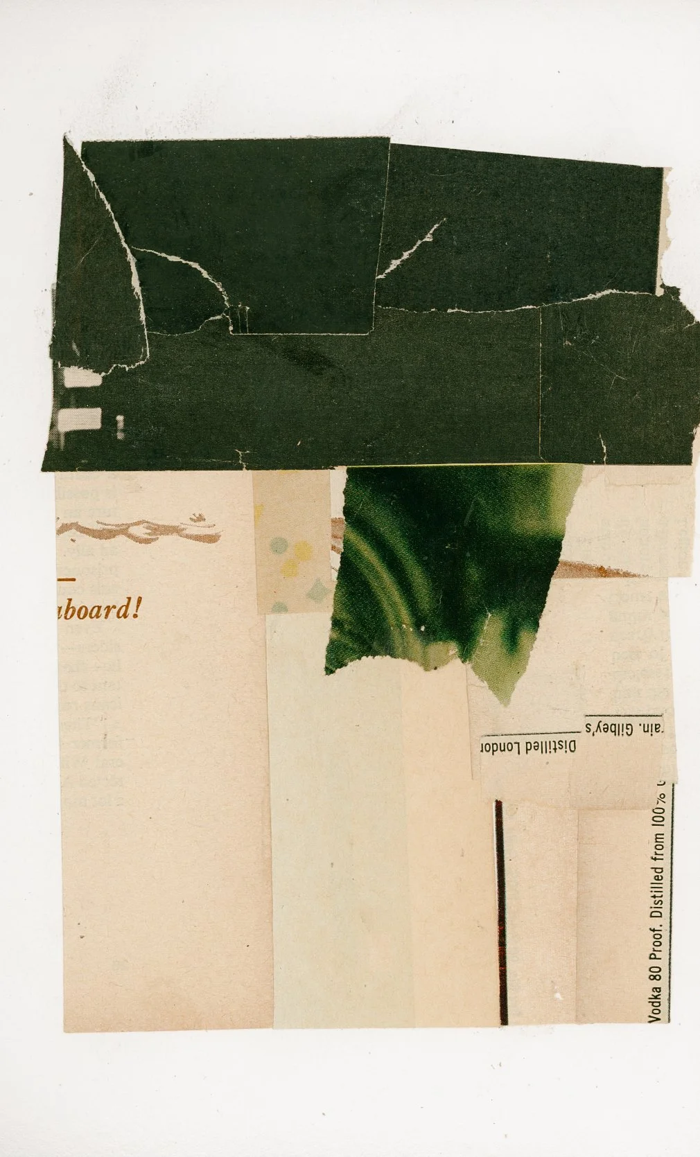 JoeHubers_Mixedmedia_Collage_art_veldt copy.JPG