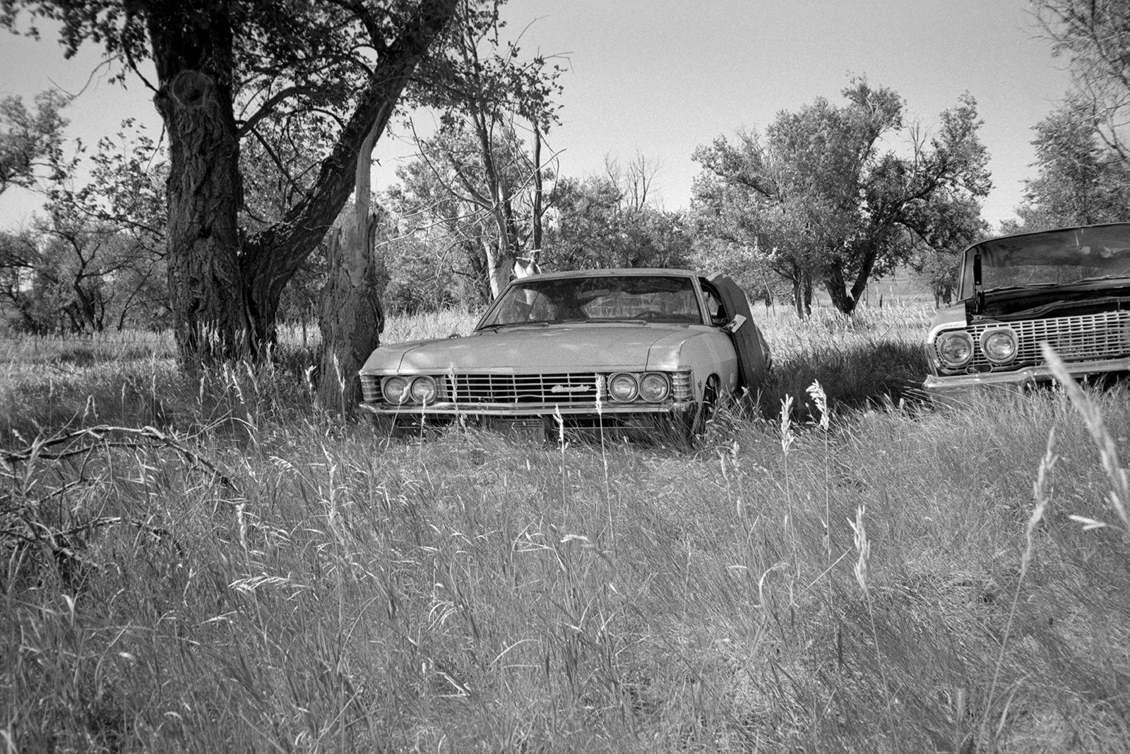 35mm film, KodakEktapan 400 | Western, South Dakota.jpg