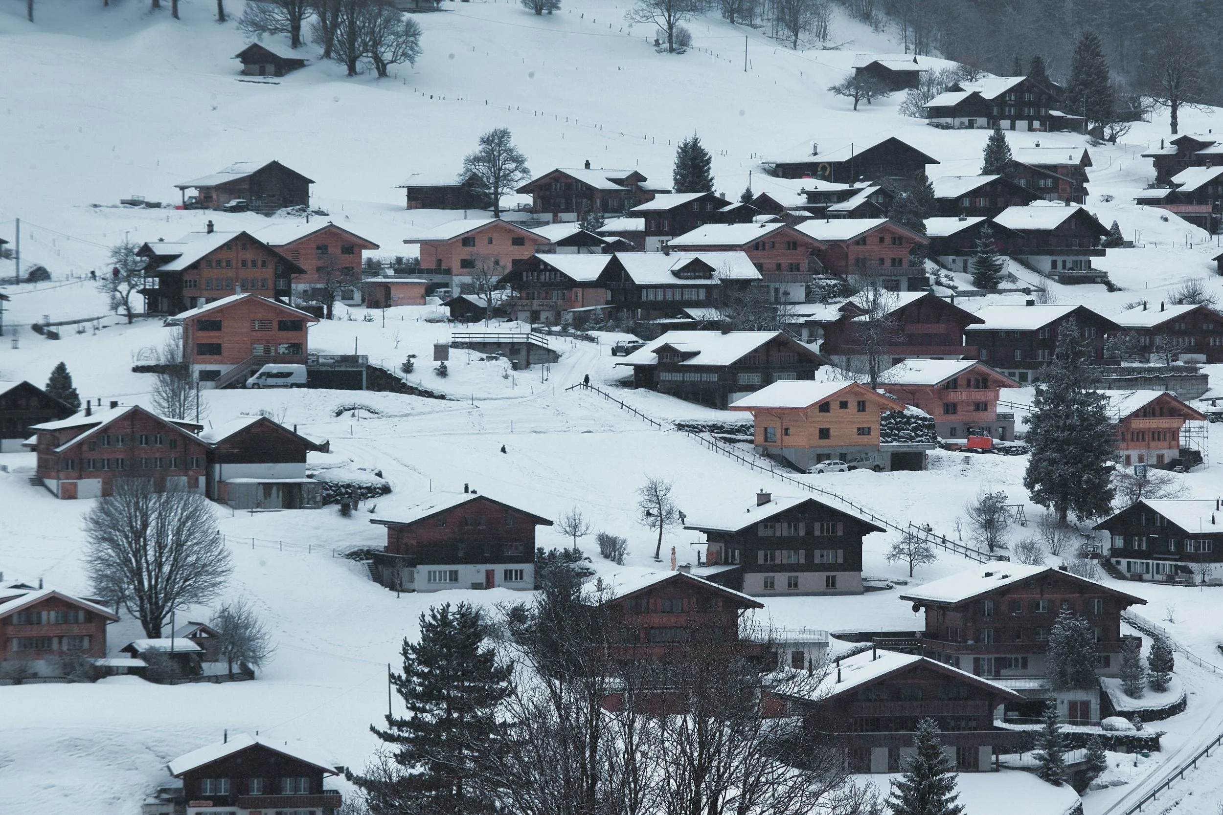 Snow-covered neighborhood with rows of houses, depicting the widespread impact of winter storms and the need for coordinated emergency housing solutions, supported by Lima Charlie Inc.'s expertise.