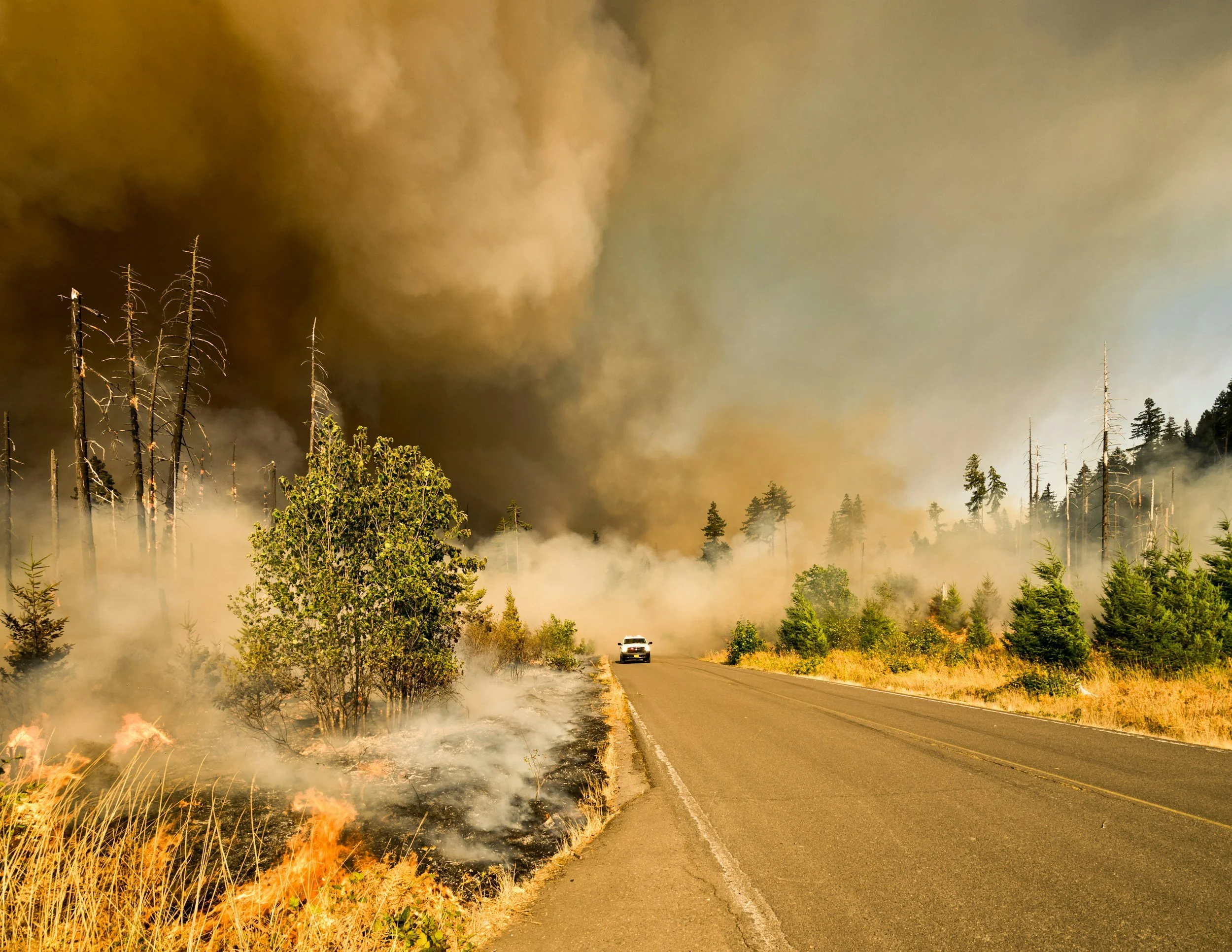 Pickup truck driving through thick wildfire smoke and roadside flames, the kind of fast-moving fire Lima Charlie Inc. helps agencies prepare housing for before fire season peaks.