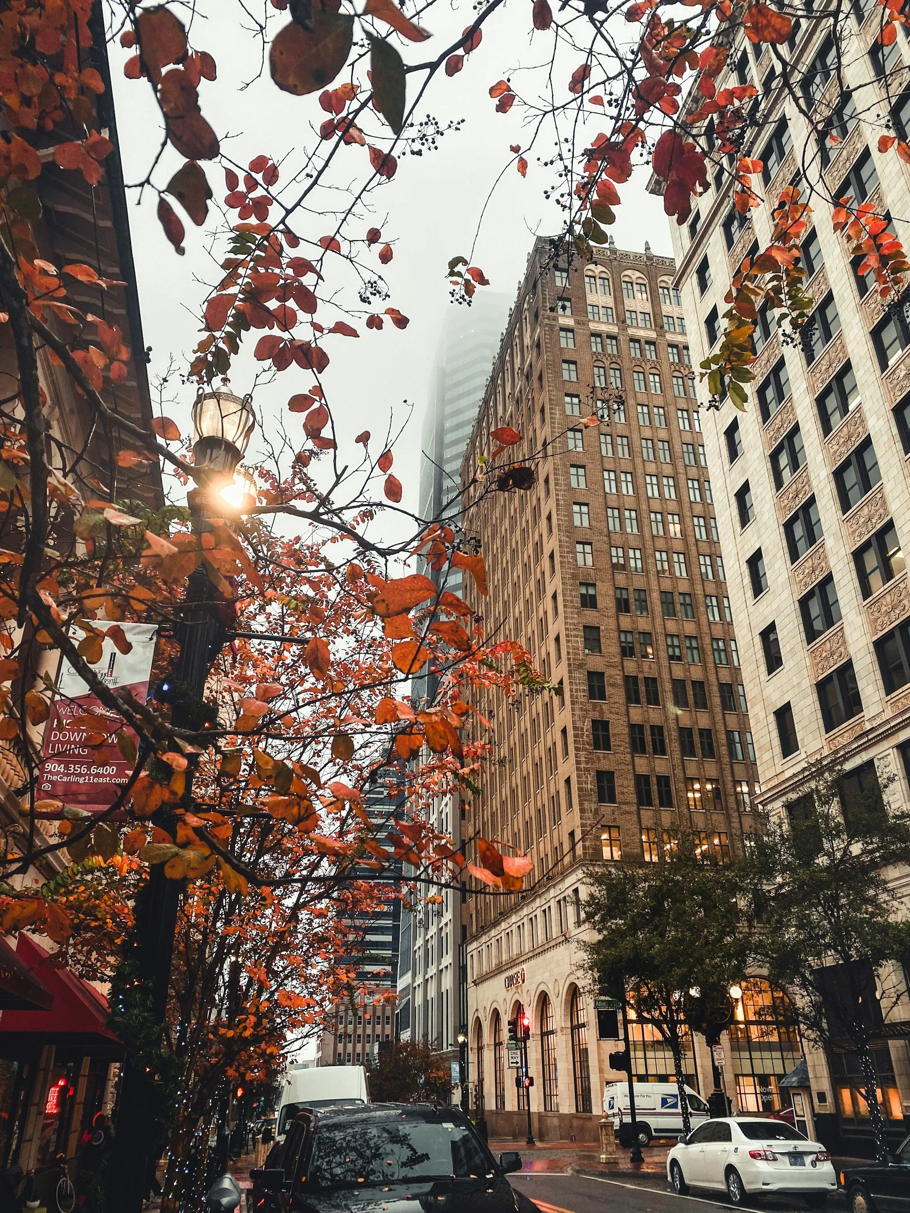 A city street lined with tall stone buildings and autumn leaves on a foggy fall day, reflecting the host city backdrop where Lima Charlie Inc. helps companies avoid convention season hotel rate spikes.