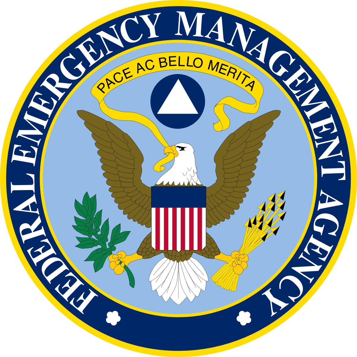 FEMA seal featuring an eagle with wings outstretched holding a branch. Lima Charlie Inc. partners with FEMA to provide rapid housing and recovery solutions during disasters.