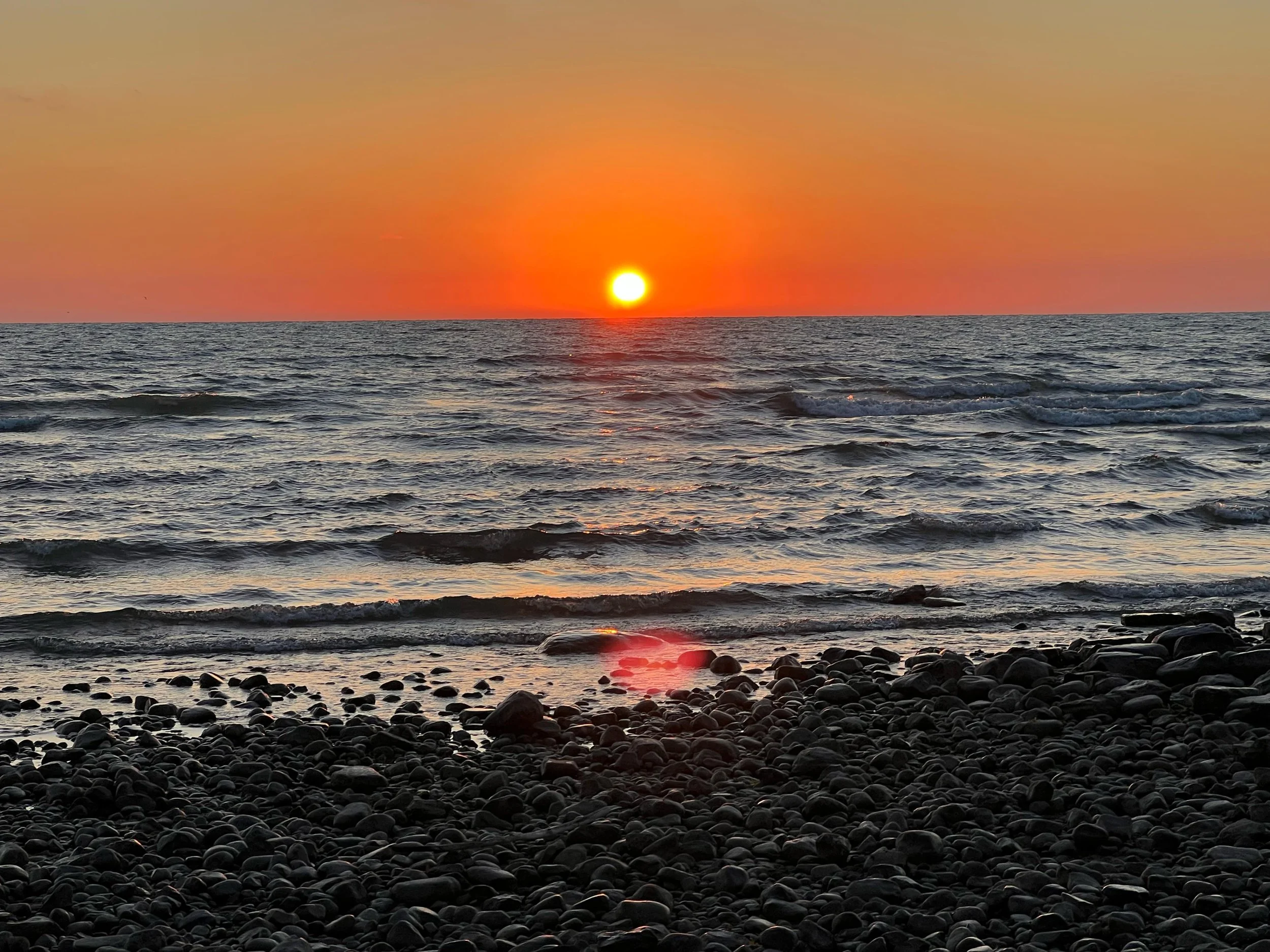 WhatsApp Image 2025-10-12 at 1.17.36 PM.jpeg