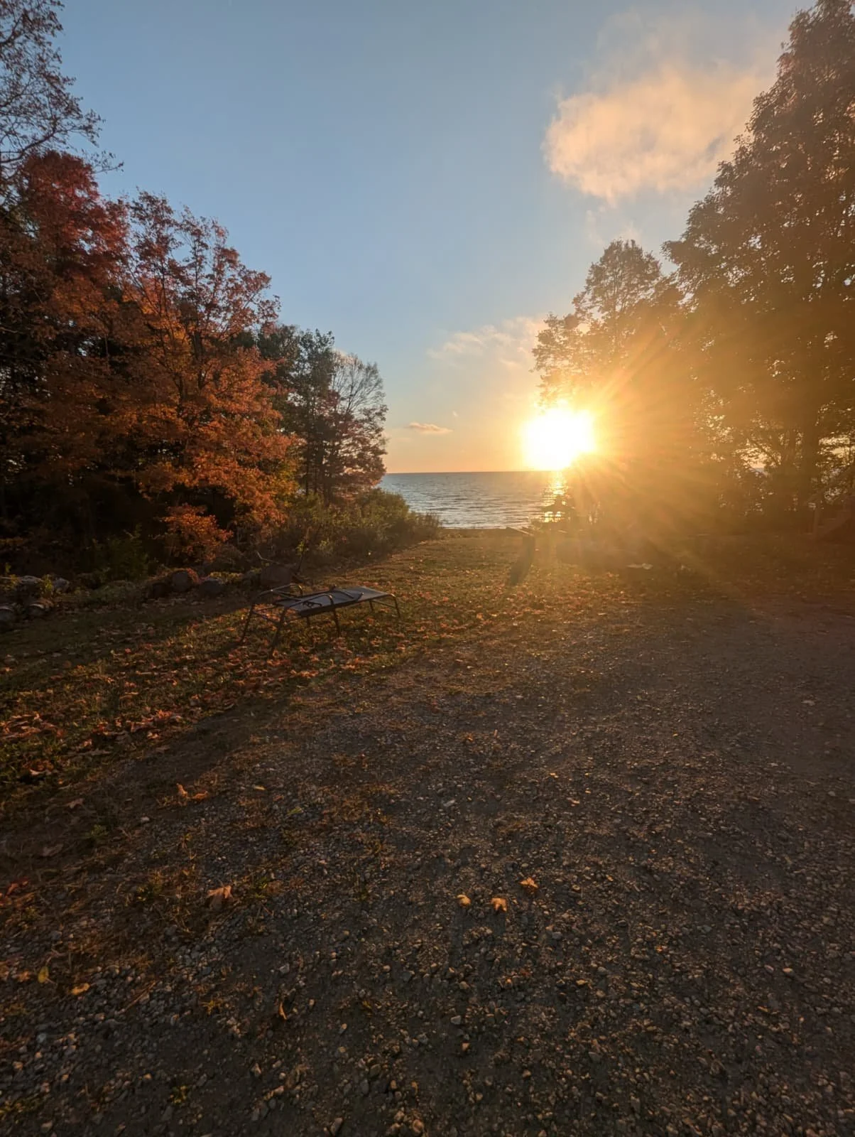 WhatsApp Image 2025-10-12 at 1.35.48 PM.jpeg