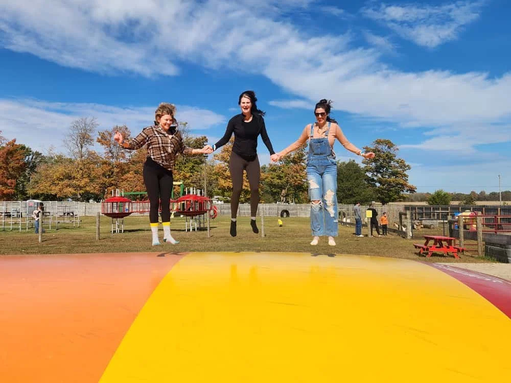 WhatsApp Image 2025-10-10 at 1.24.06 PM.jpeg