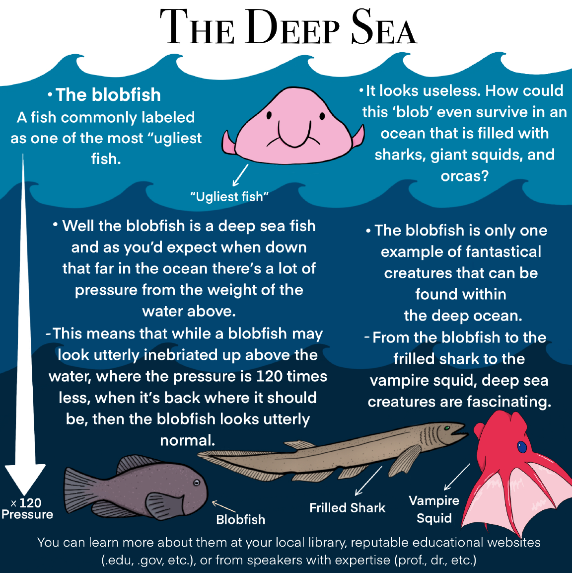 3 Facts About BlobFish #blobfish #fish #blobfishfacts #ocean
