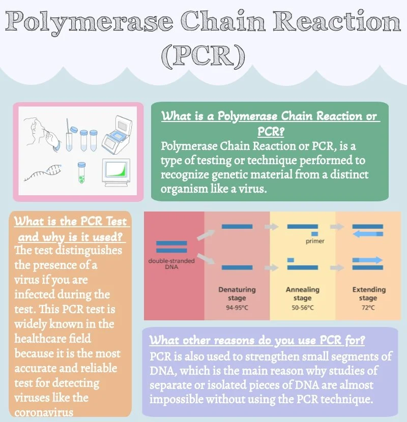 Polymerase Chain Reaction (PCR) — Biotech & Global Health Outreach