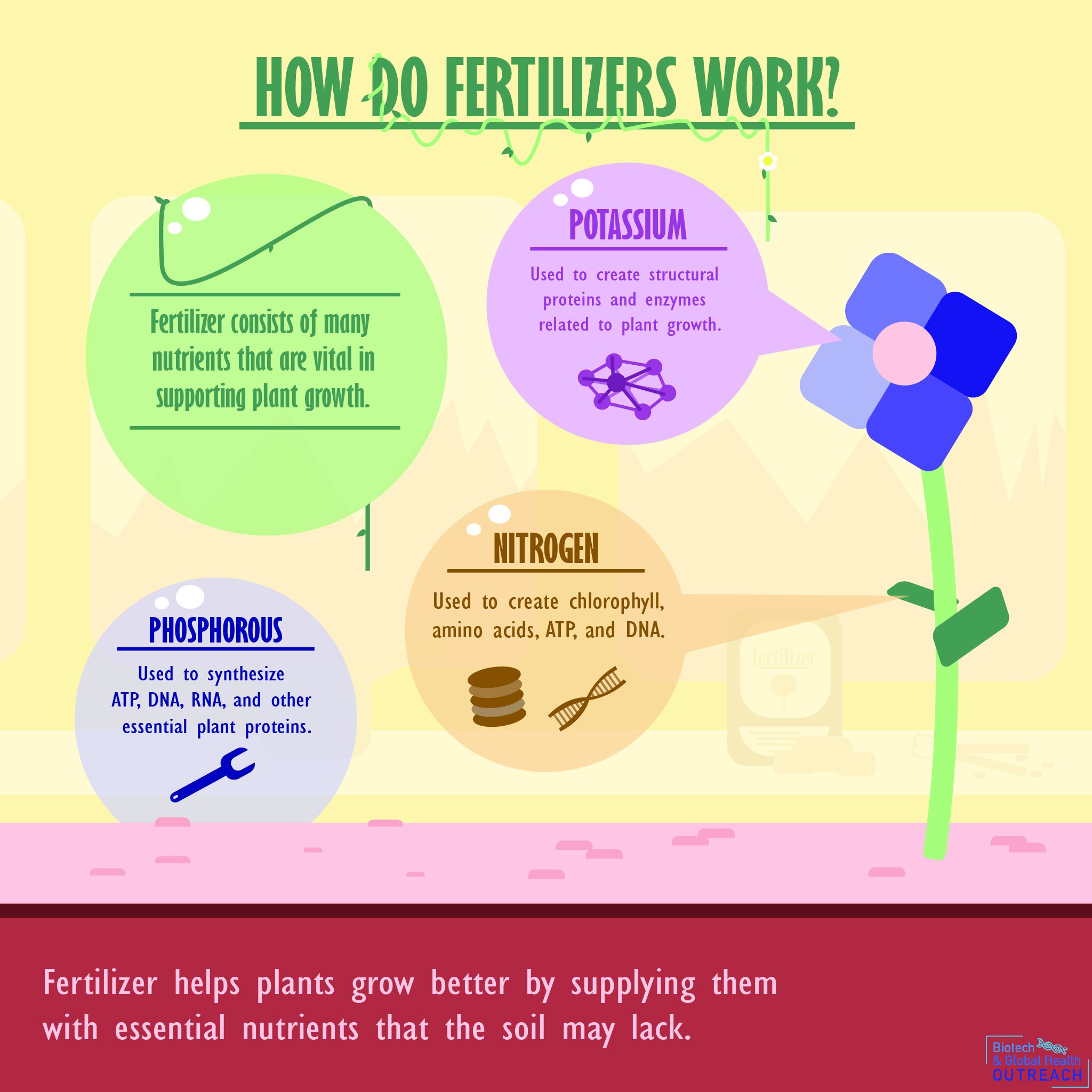 How Fertilizer Affects Plant Growth