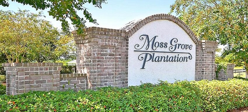 Moss Grove Plantation