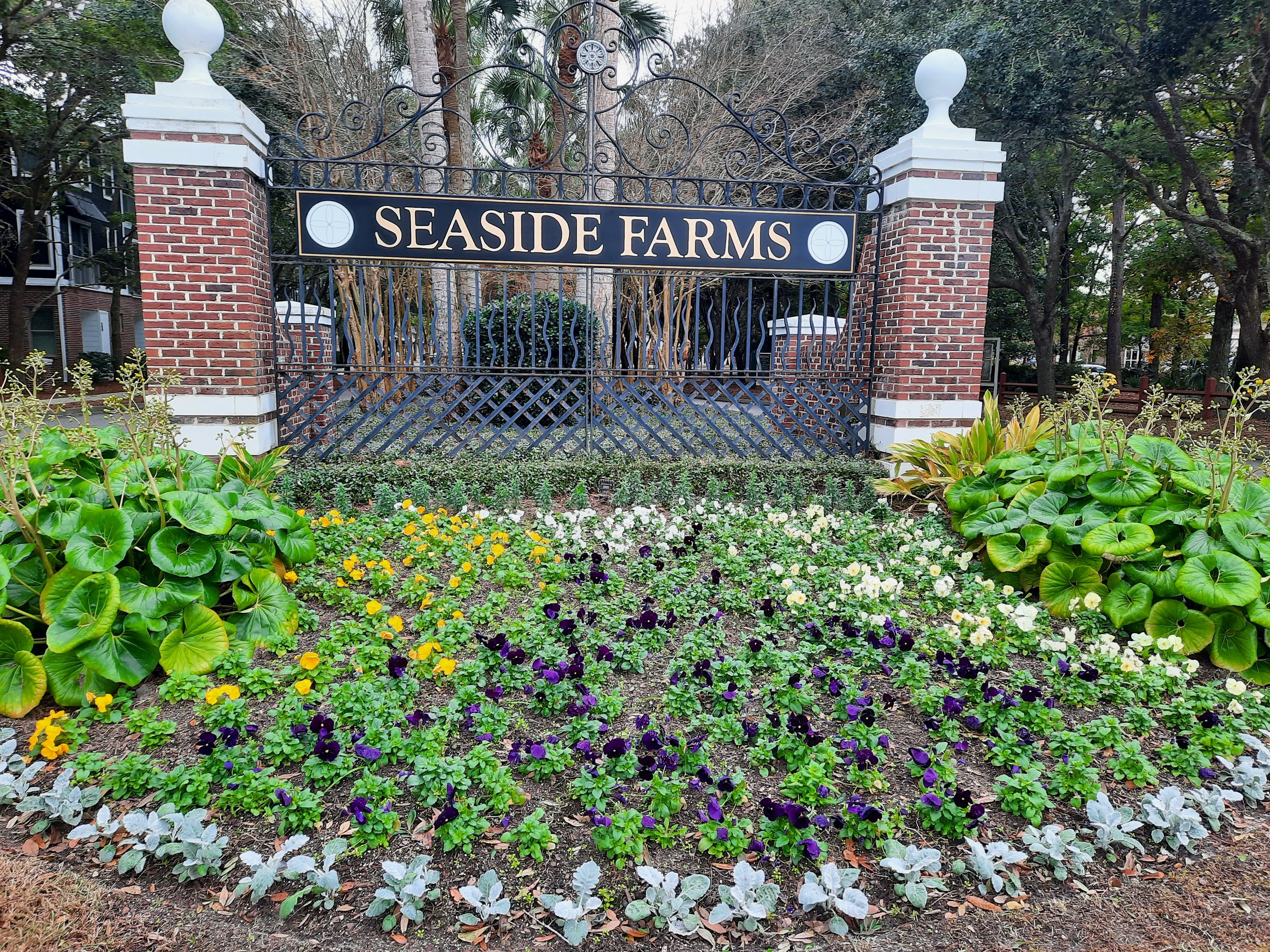 Seaside Farms