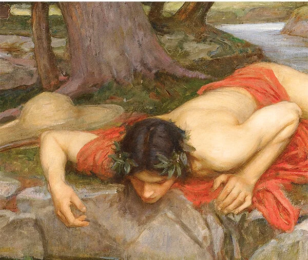 Narcissus