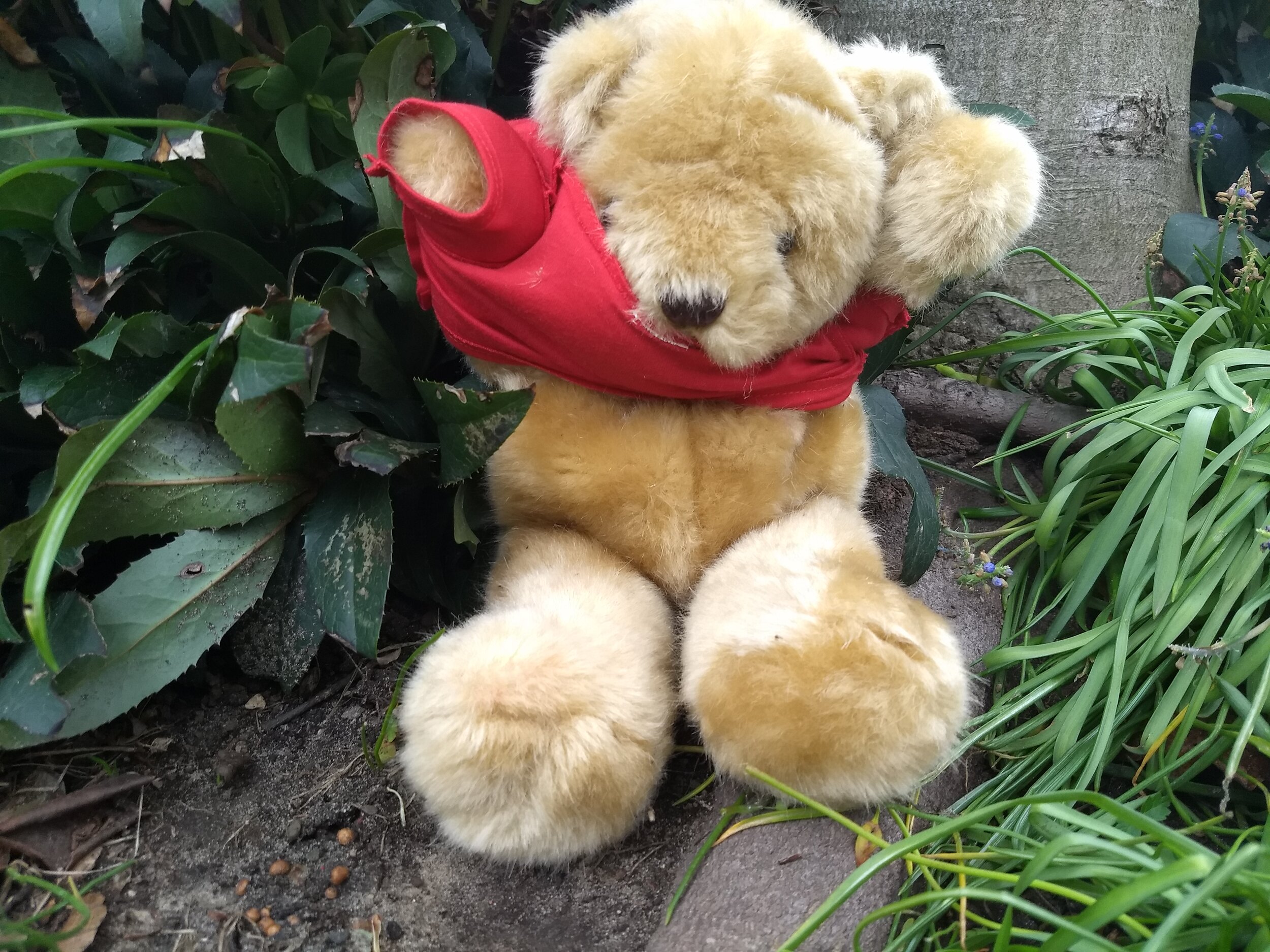 There is a reason bears are eponymous for bare or naked. That reason is illustrated here; claws shred long sleeves, and neck holes are stretched out by large, adorable heads. If red weren't her favorite color, Ann ArBear wouldn't even bother.