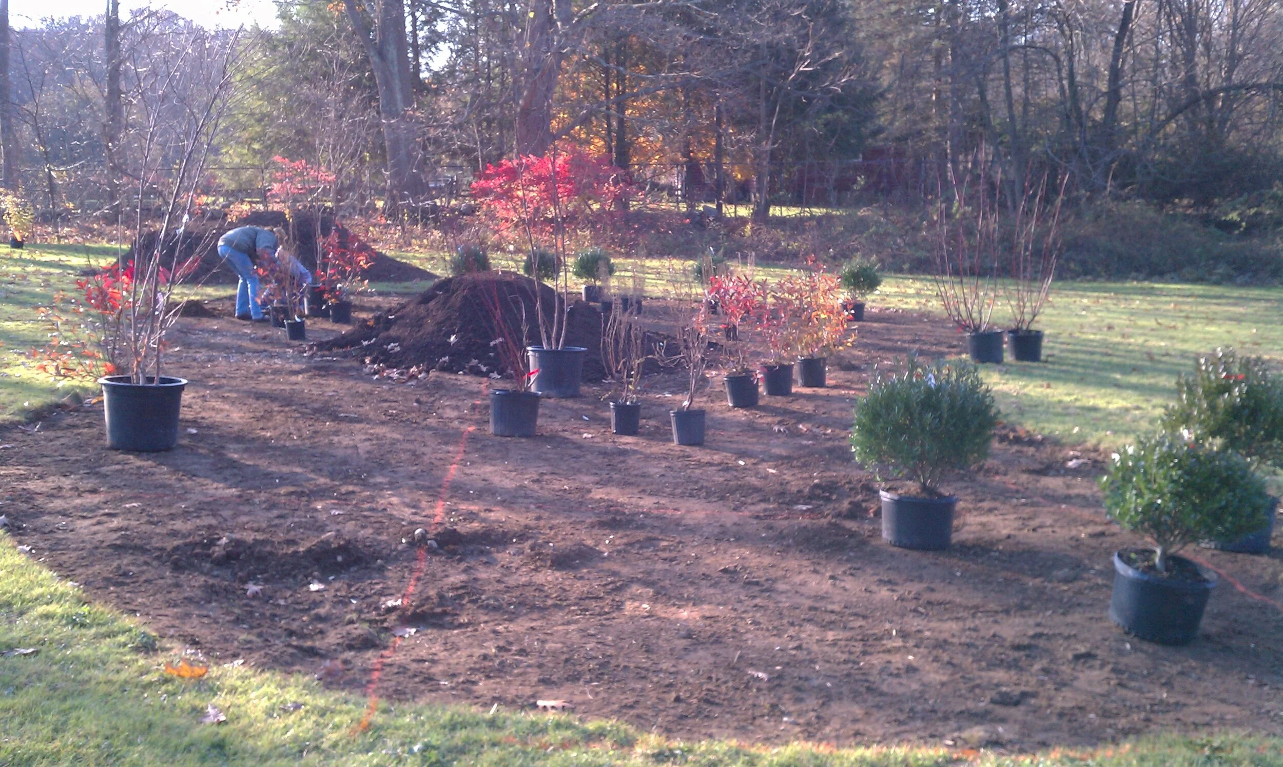 Stage 2_ filtration garden and buffer_Easton BlackRock Park_formerly Toth.JPG