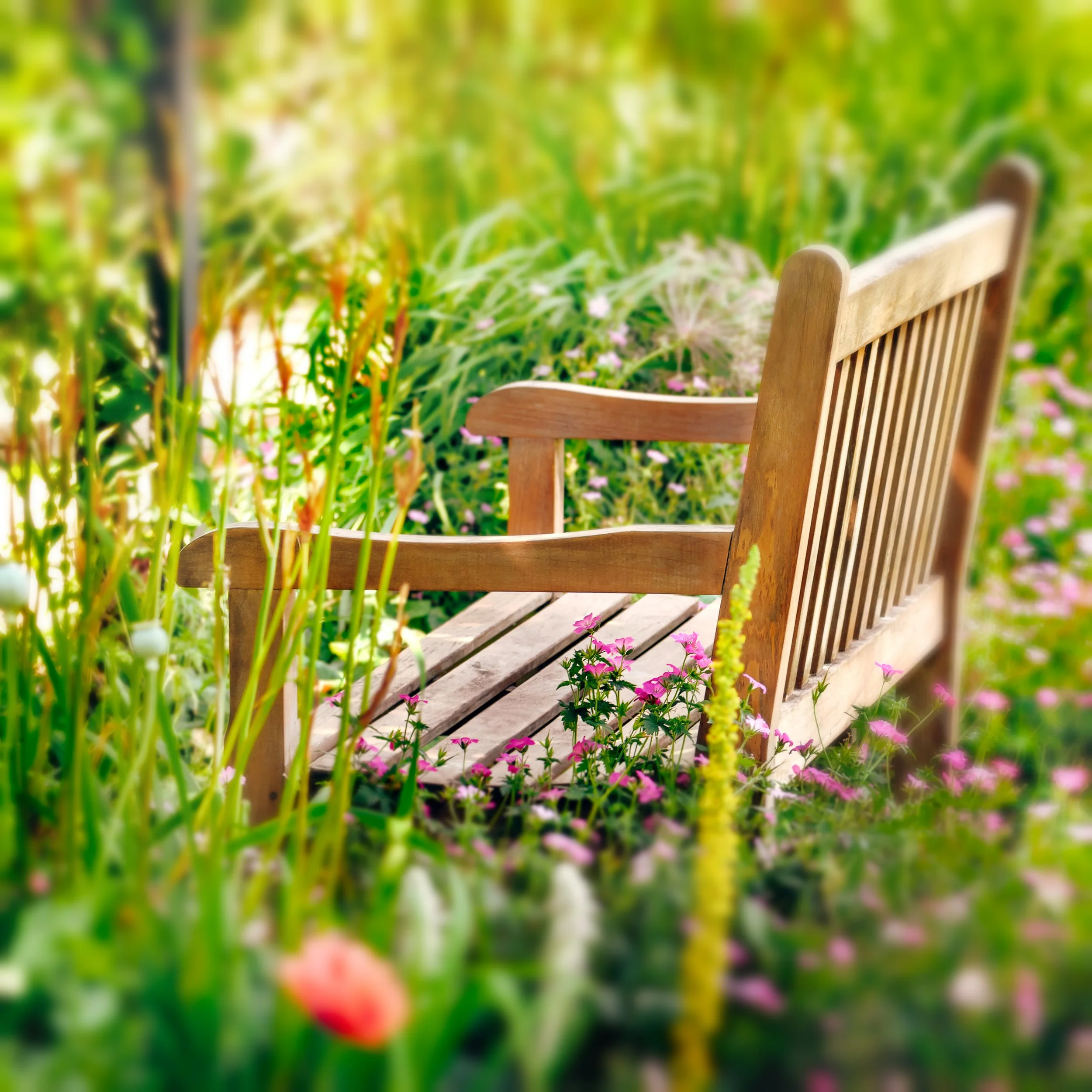 The Garden Bench 