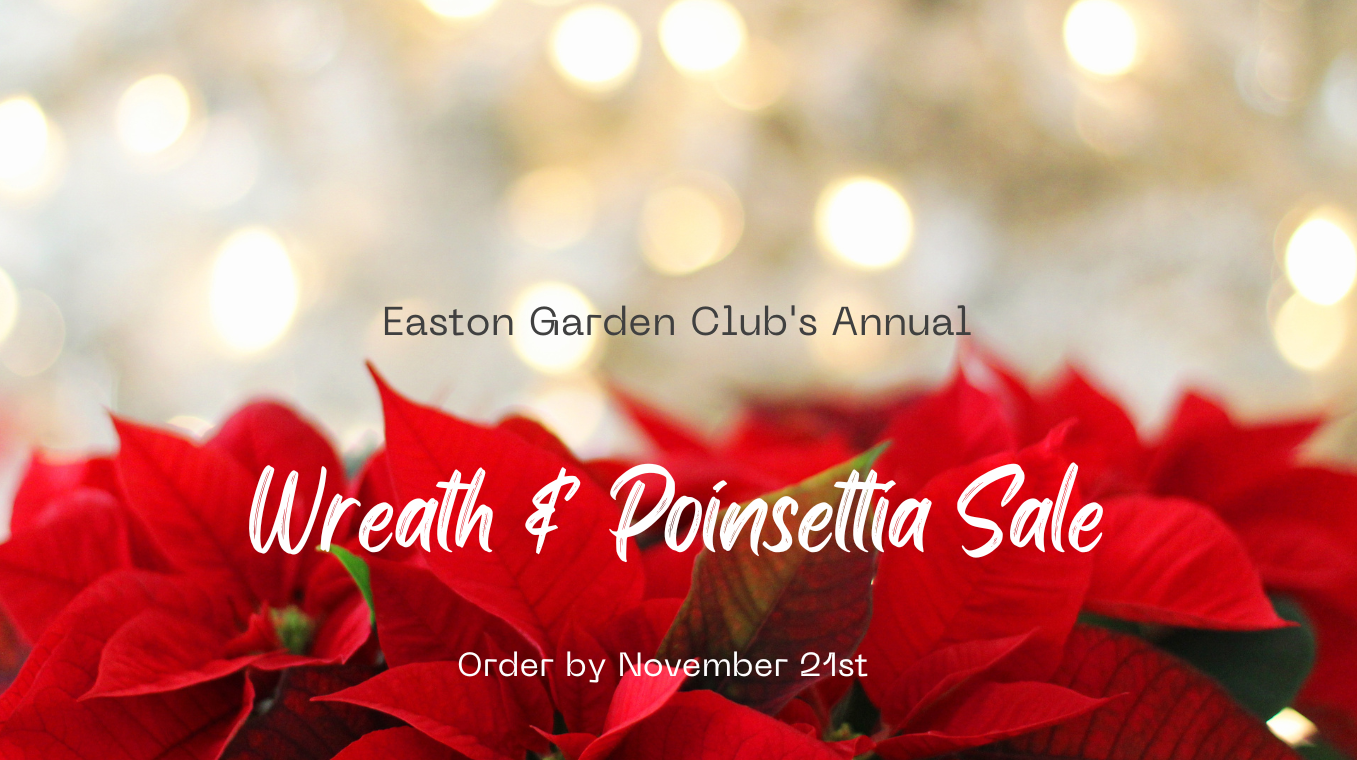 Annual Wreath &amp; Poinsettia Sale Pick up (pre-orders only)