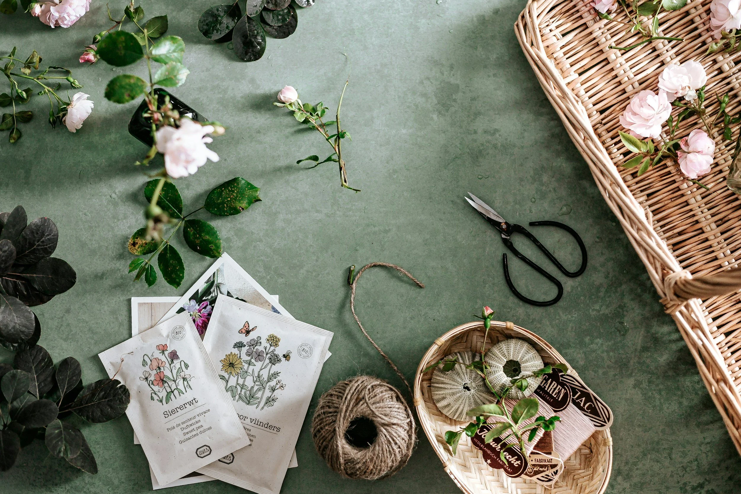 Member Only - November Workshop 