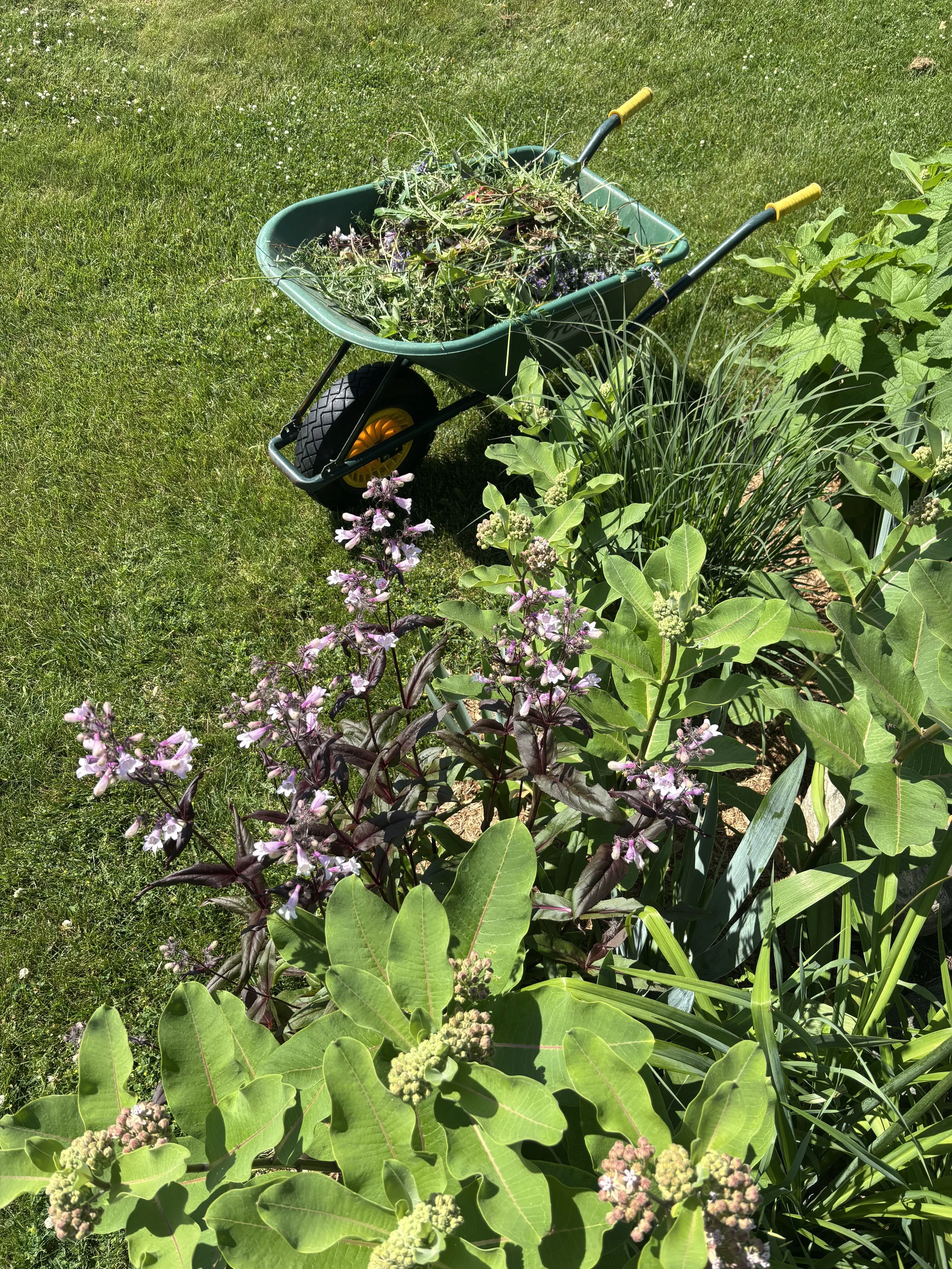 IMG_3077.jpeg