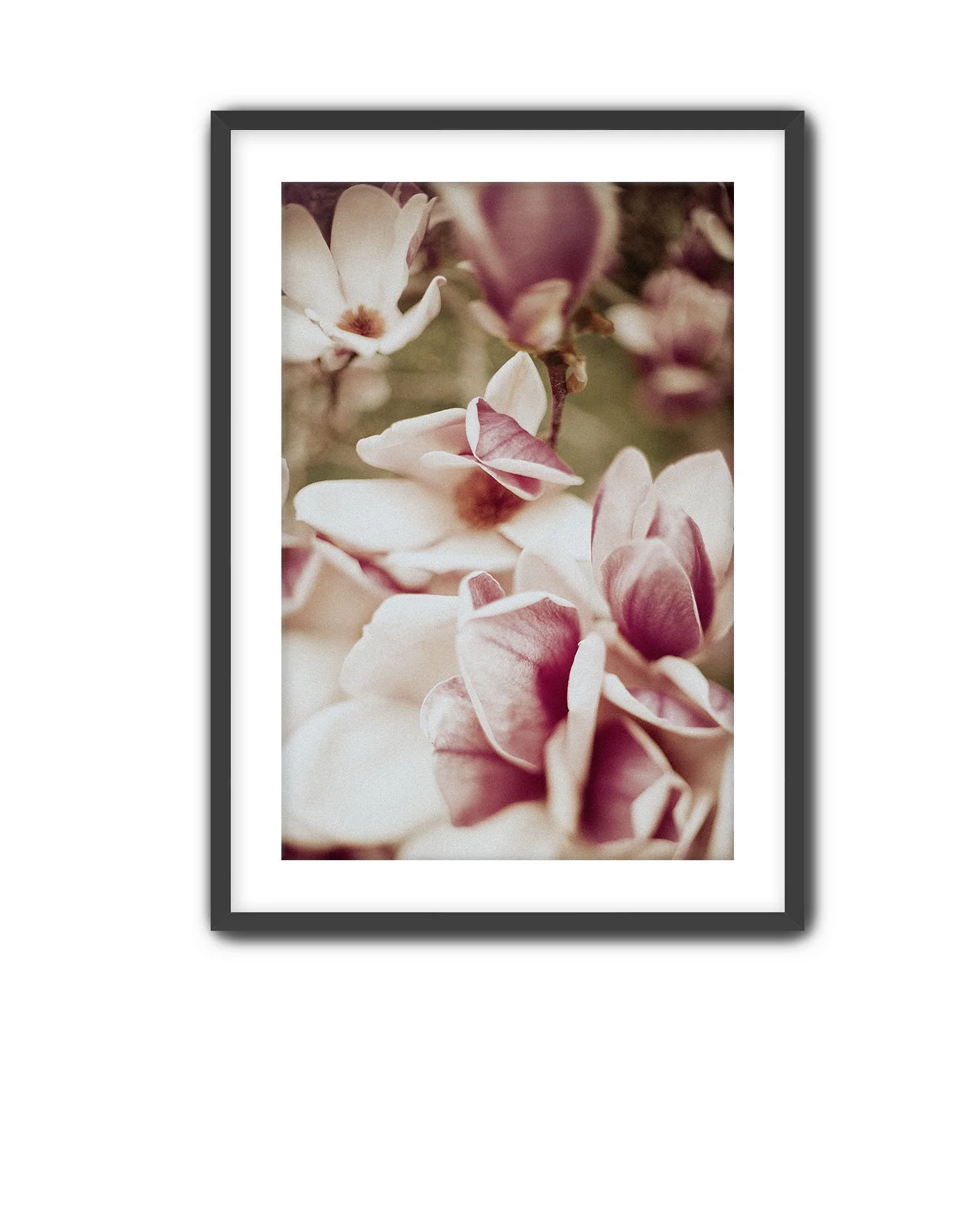 Black Frame Magnolia 12.jpg