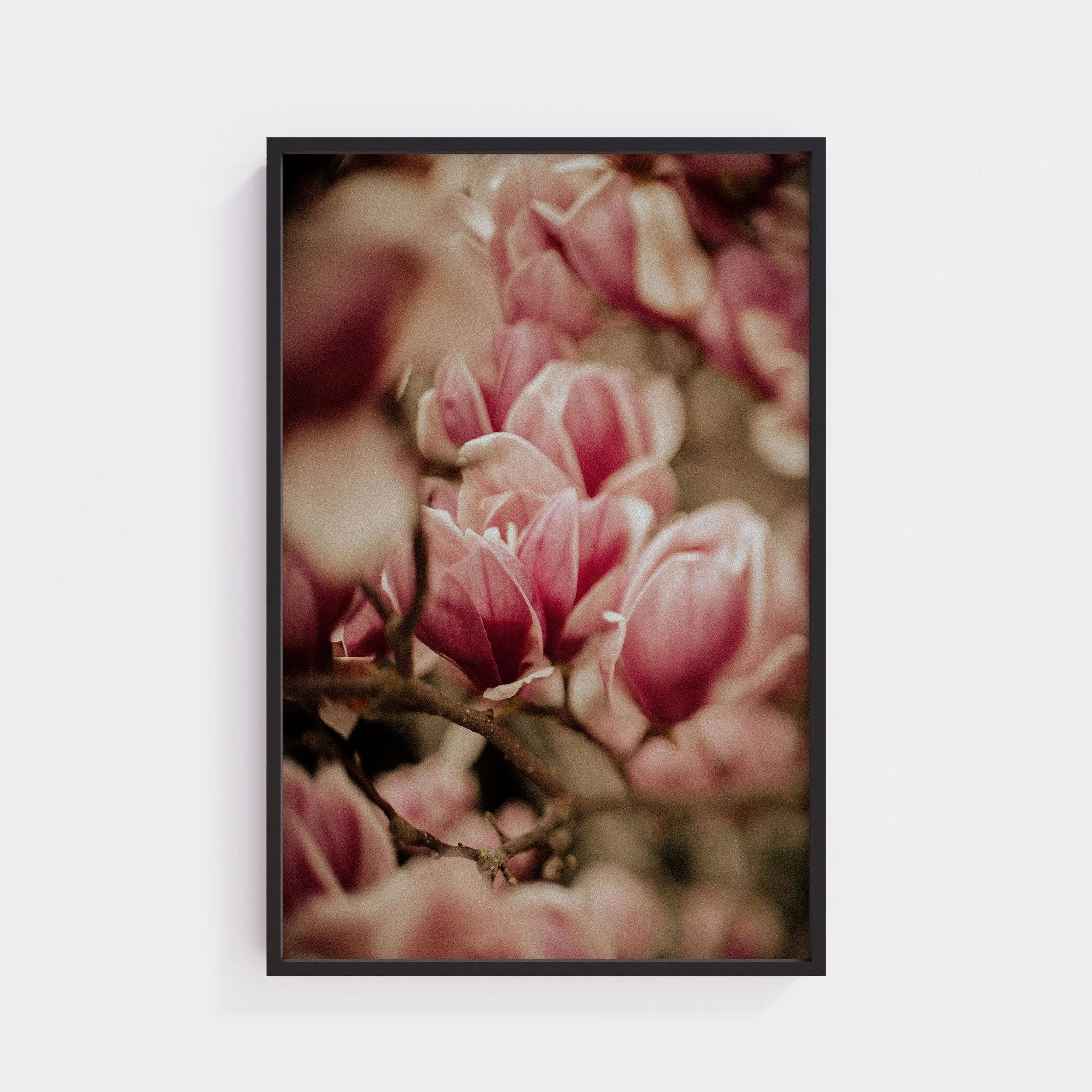 Spring Peeks In Large Print.jpg