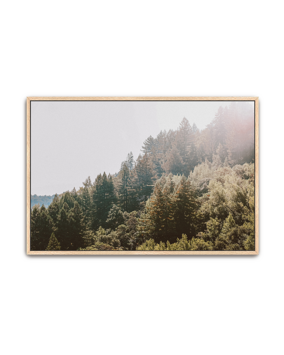 treeside-oak-canvas.png