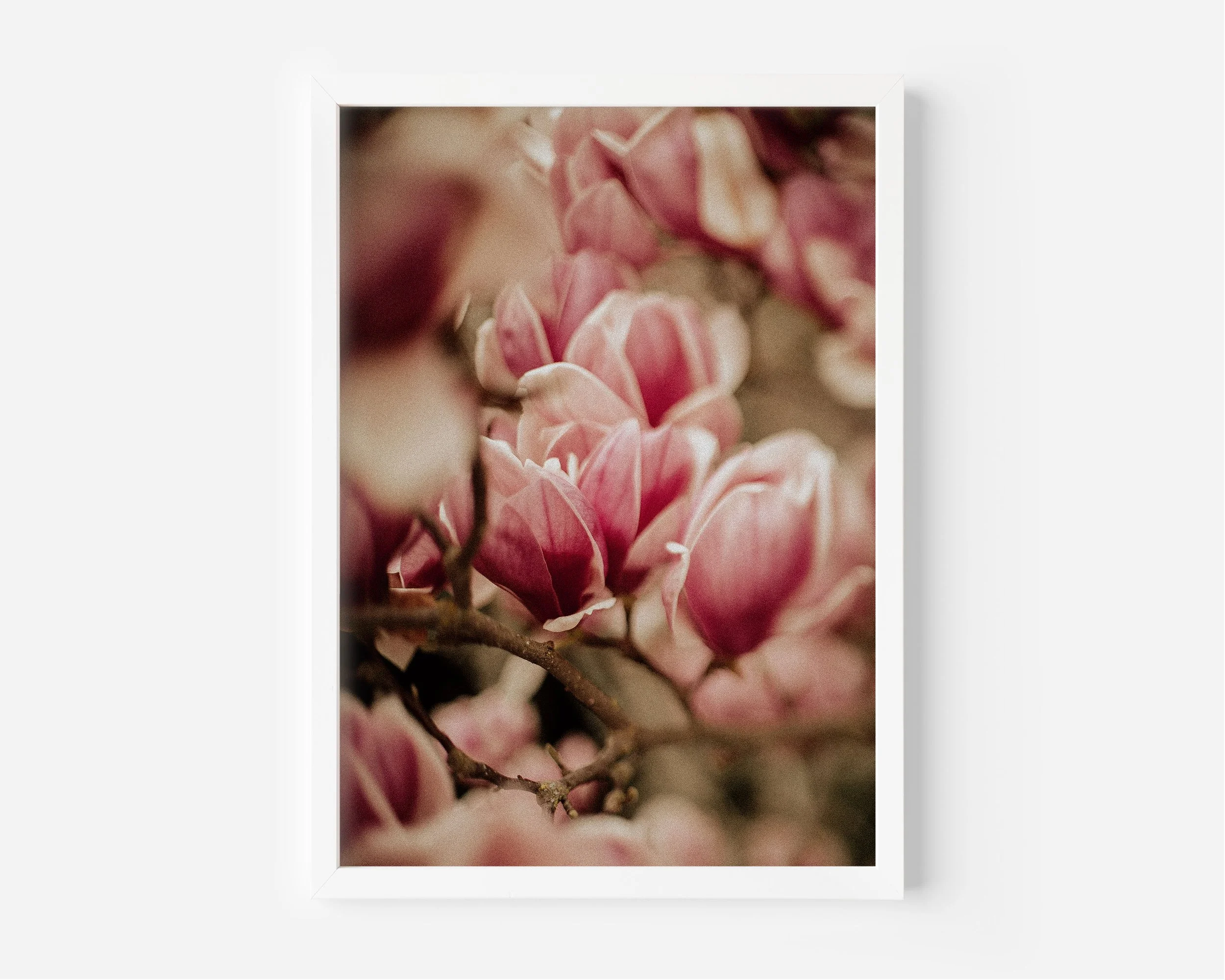 Spring Peeks XL White Frame.jpg