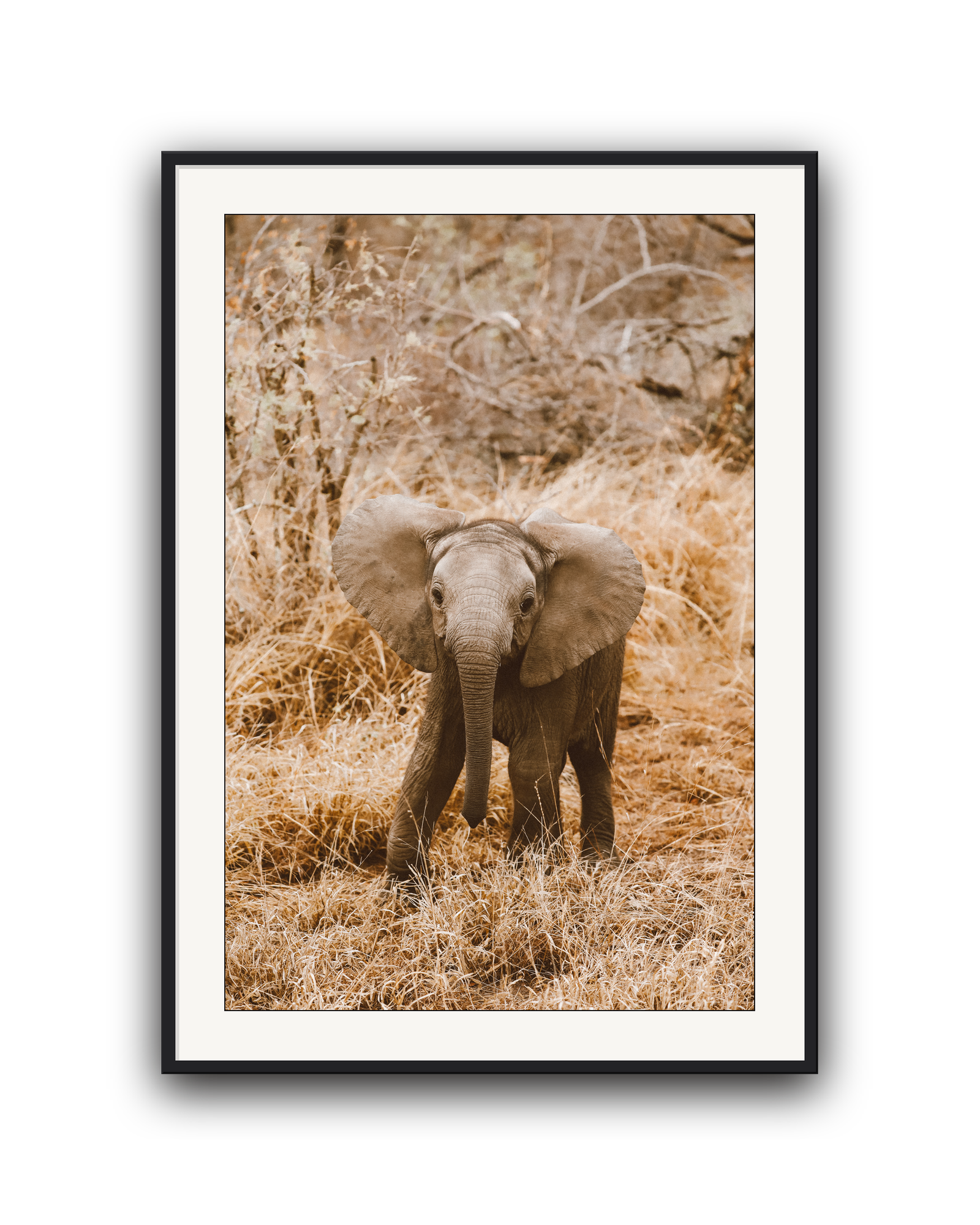 elephant-black-matted.png