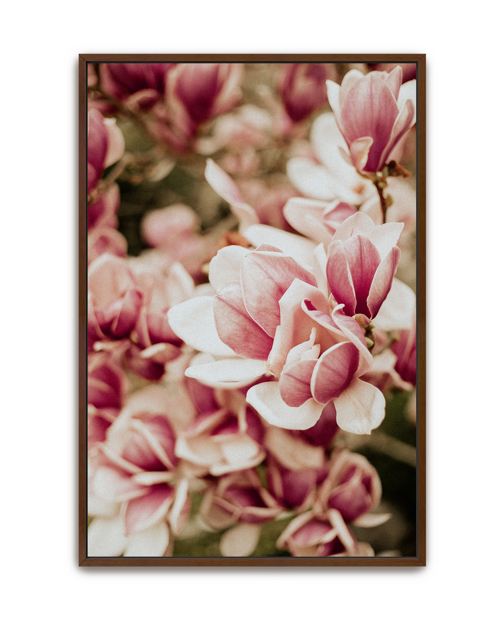 among-friends-walnut-canvas.png