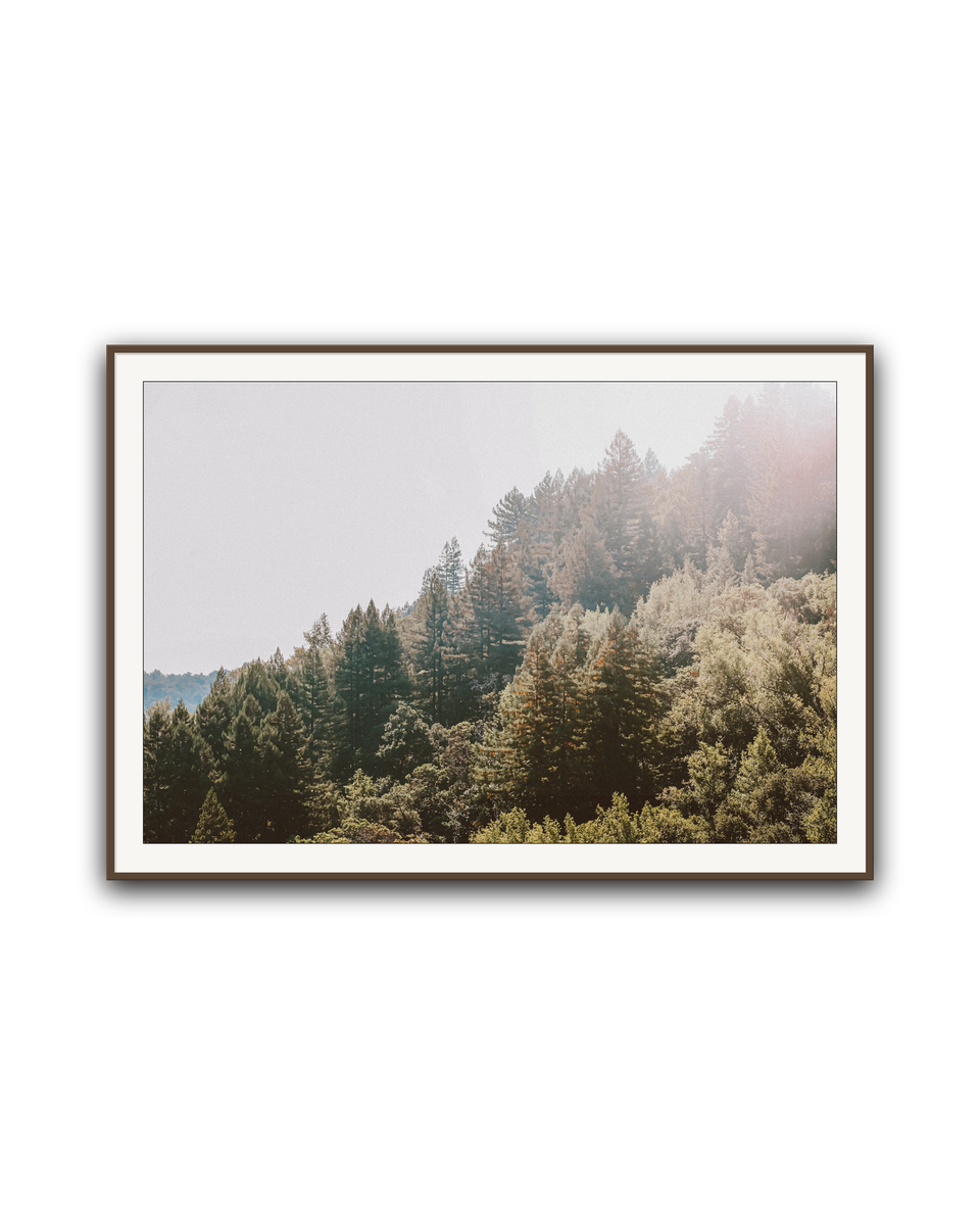 treeside-walnut-matted.png