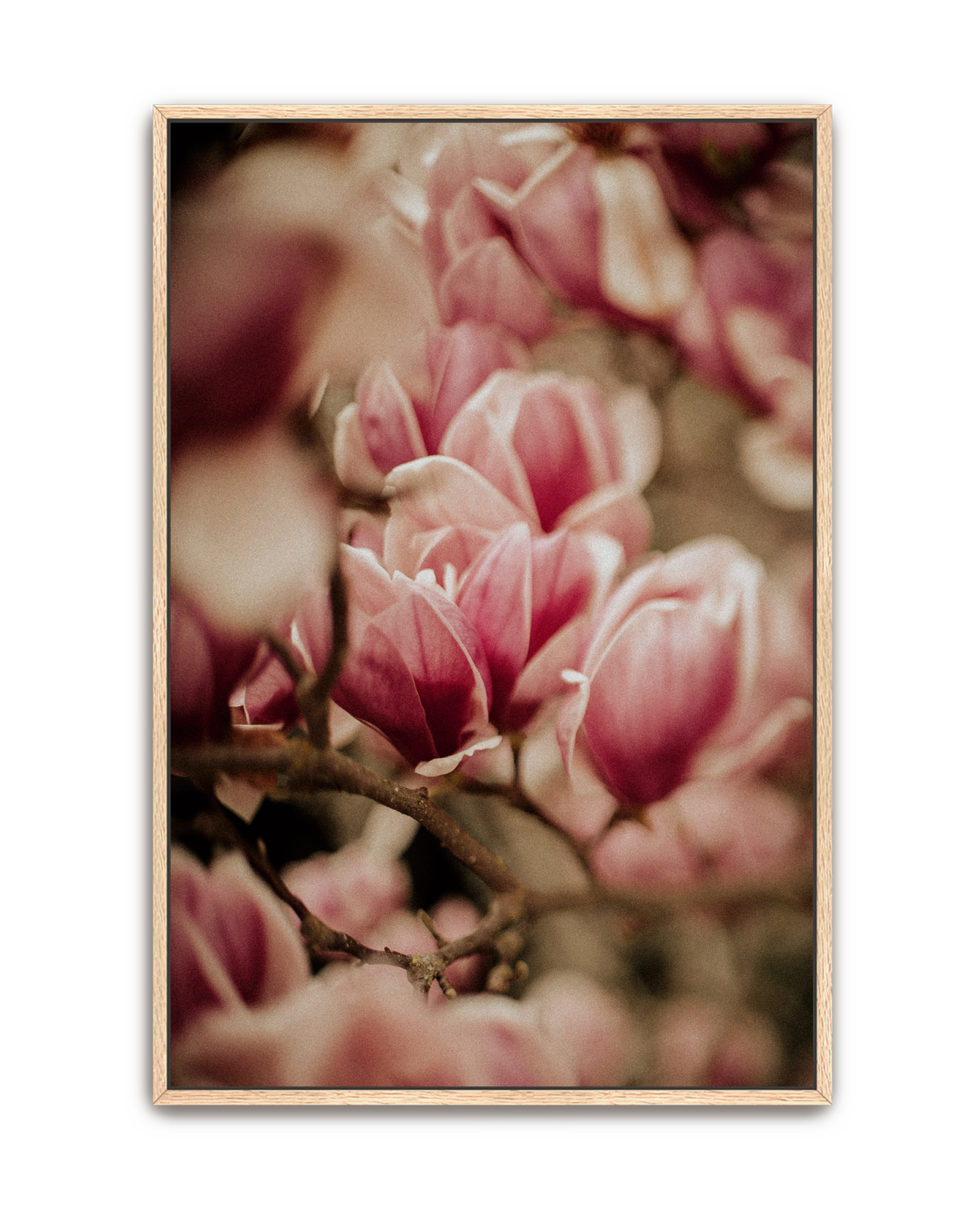 spring-peeks-in-oak-canvas.png