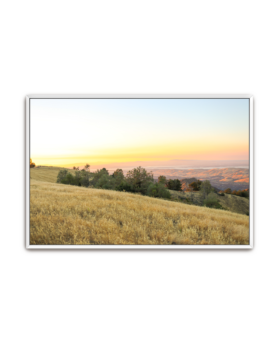 golden-ridge-white-canvas.png