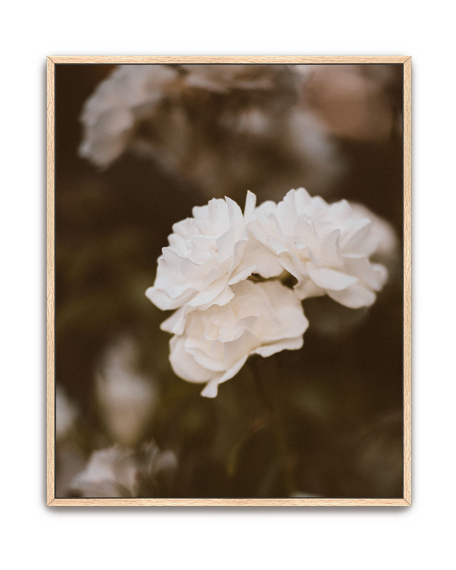 soft-light-oak-canvas.png