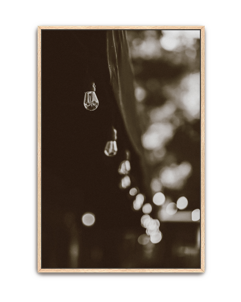 lights-oak-canvas.png
