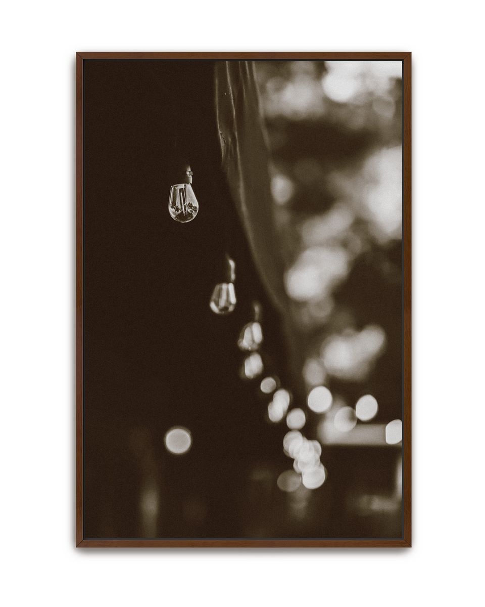 lights-walnut-canvas.png