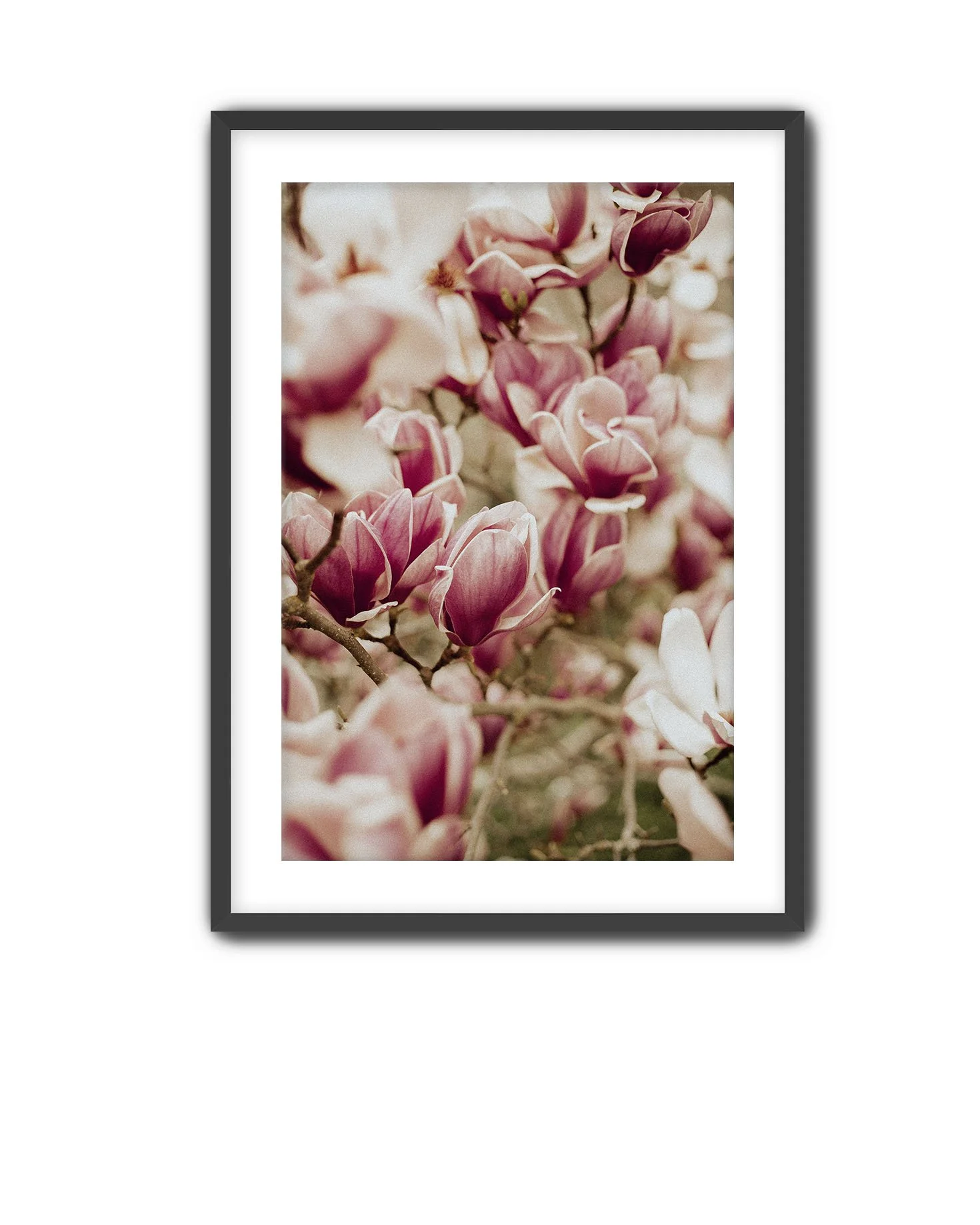 Black Frame Magnolia 9.jpg