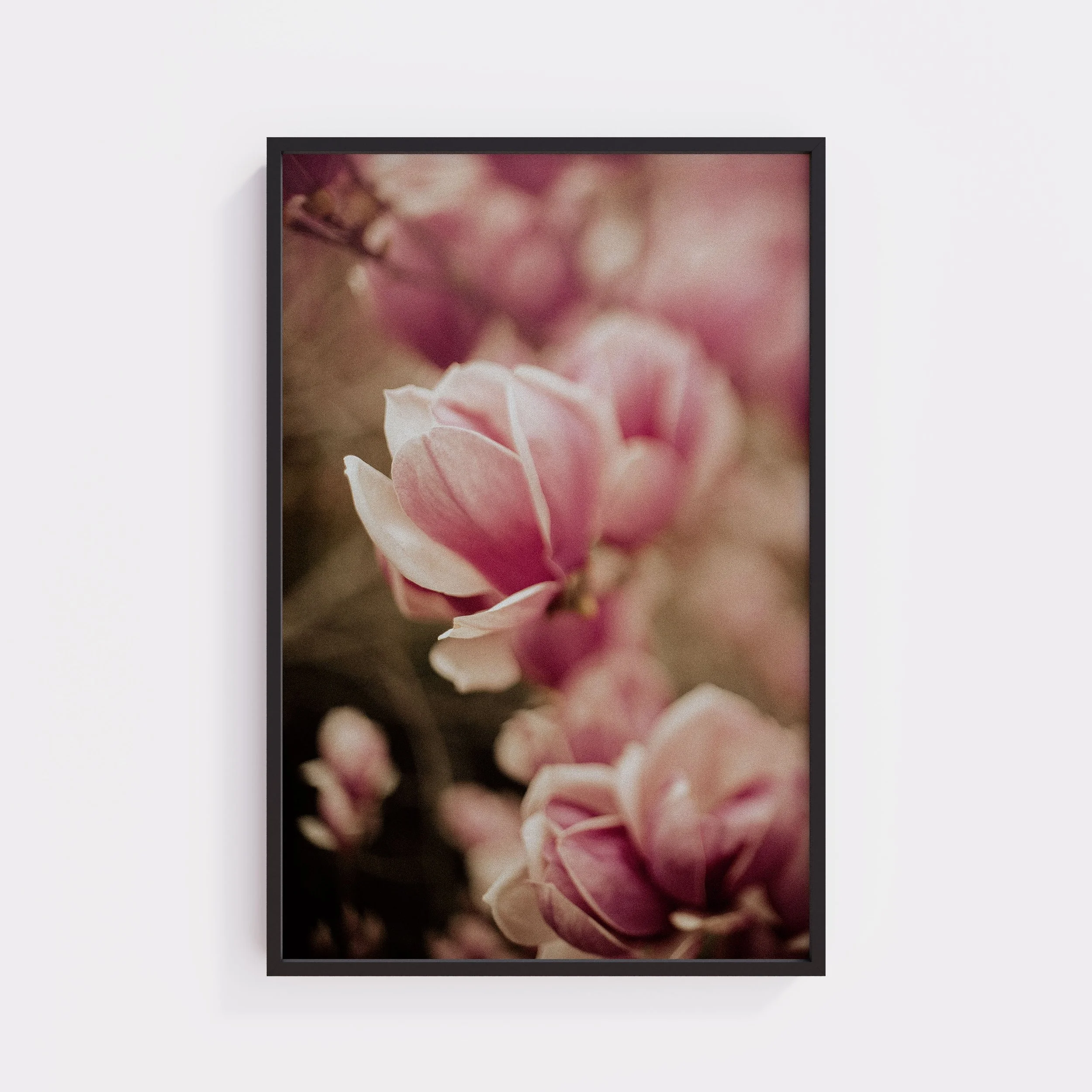 Clarity Large Print.jpg