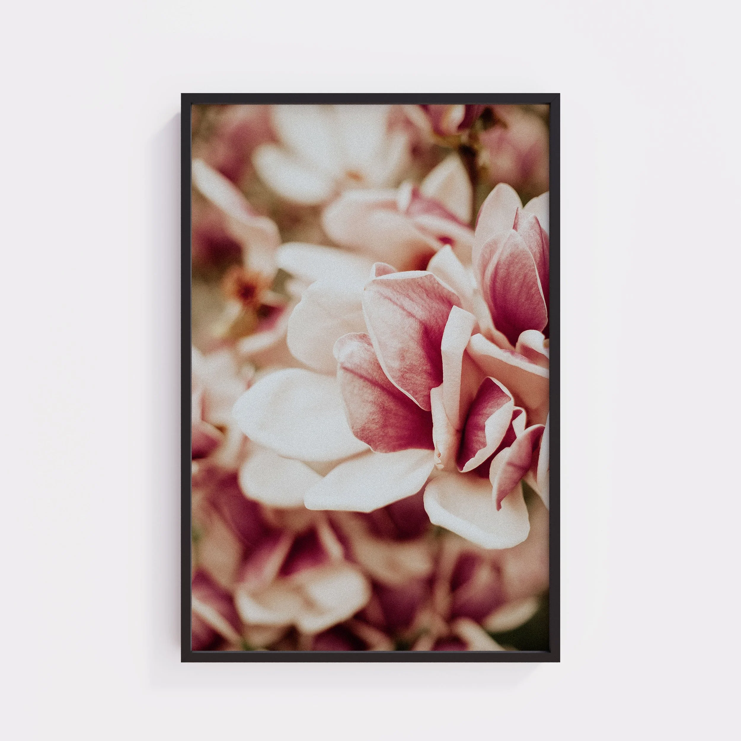 Pink Velvet Large Print.jpg