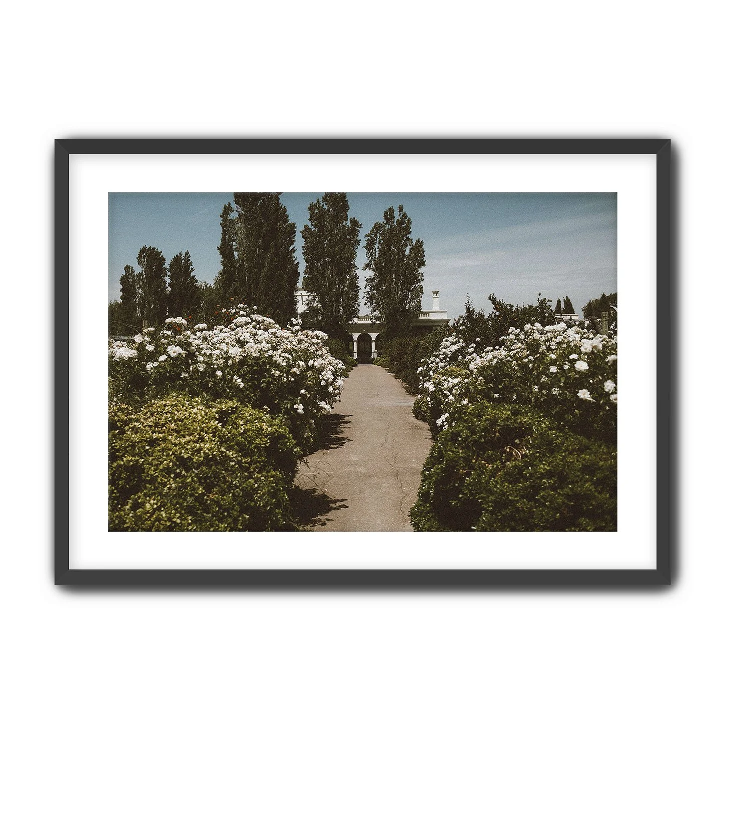 Black Frame Floral Pathway.jpg