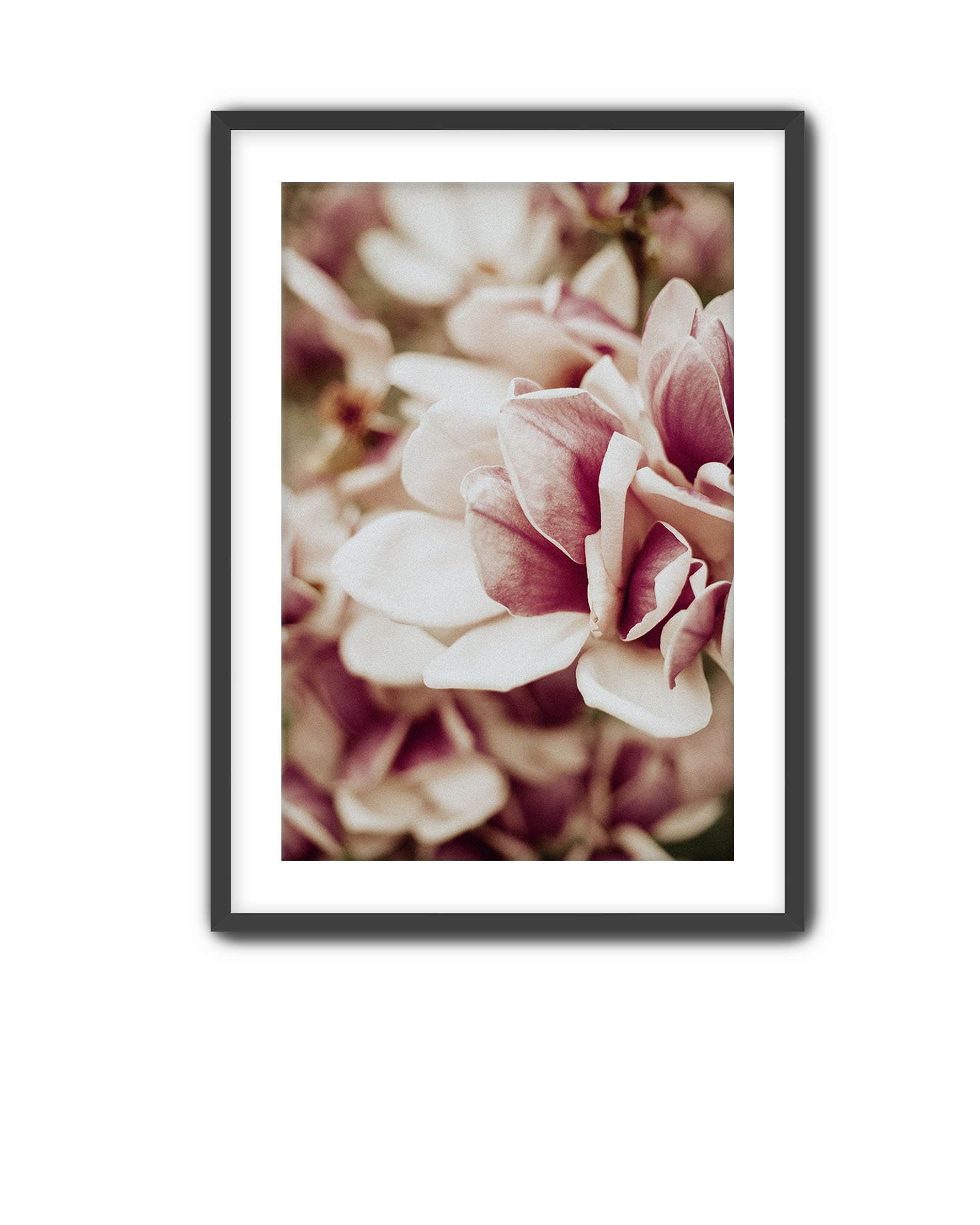 Black Frame Magnolia 10.jpg