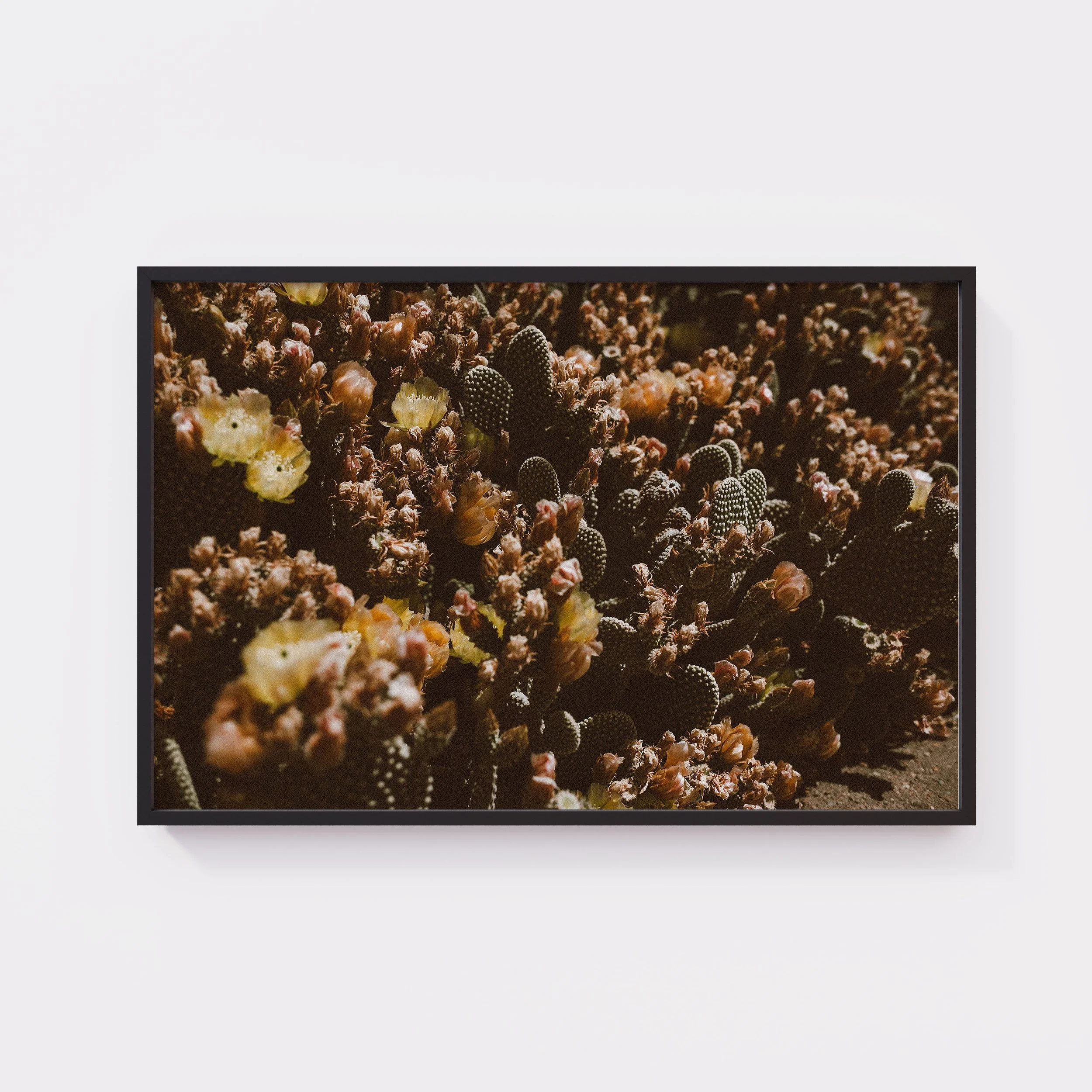 Black XL Frame Cactus Art.jpg