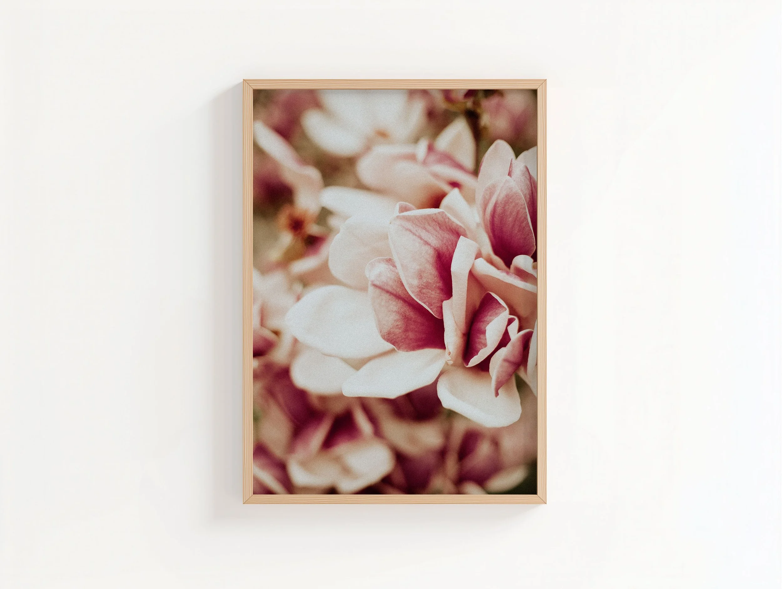 Pink Velvet XL Wood Frame.jpg