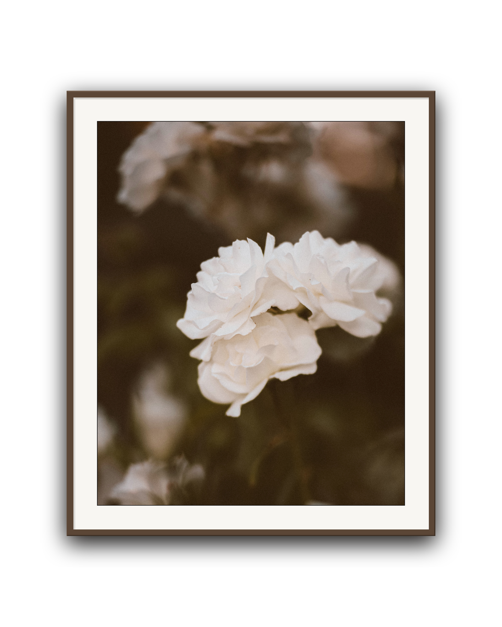 soft-light-walnut-matted.png