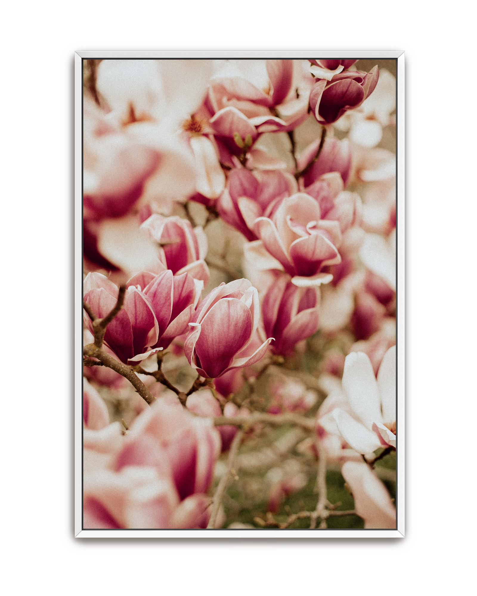 spring-chorus-white-canvas.png