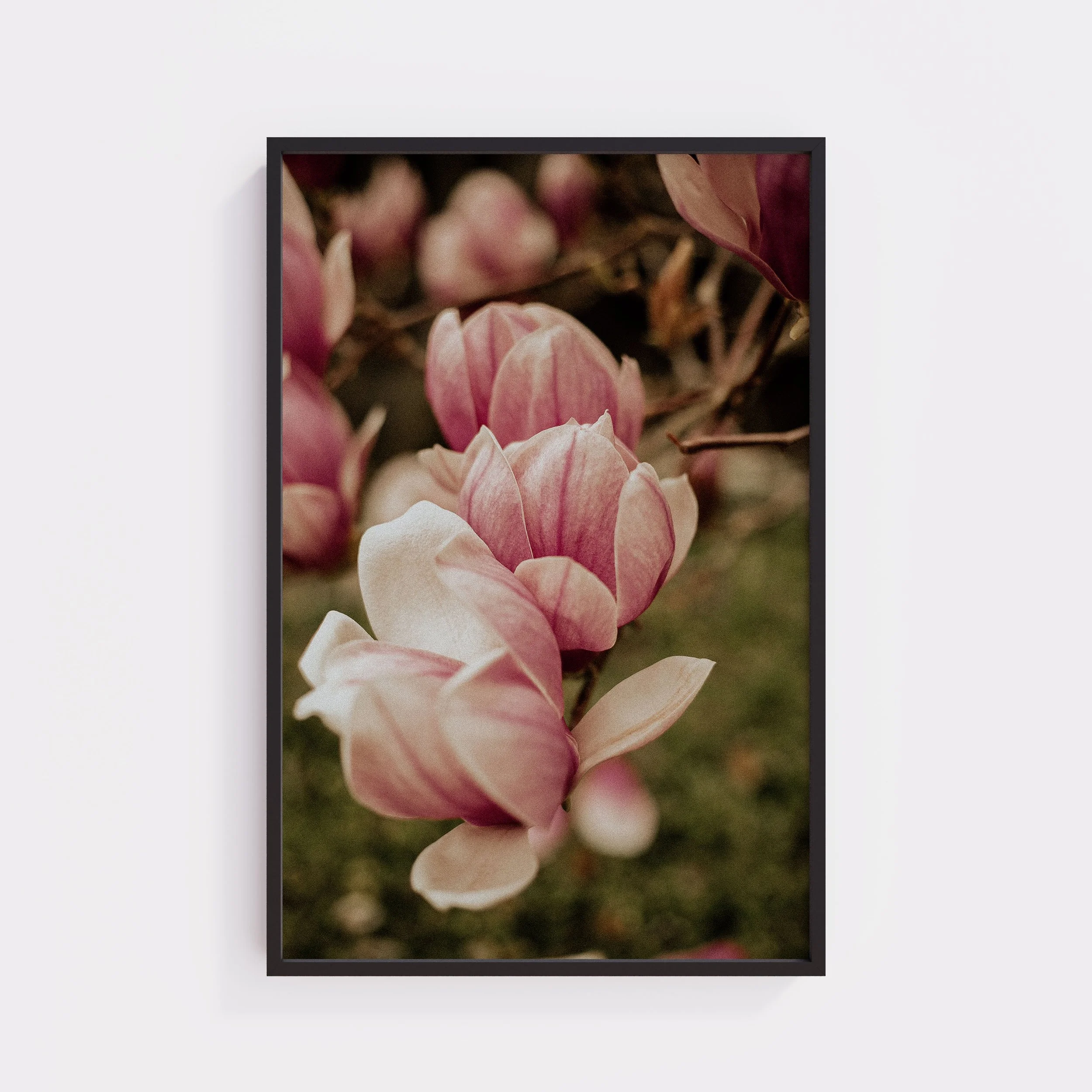 In Bloom XL Black Frame.jpg