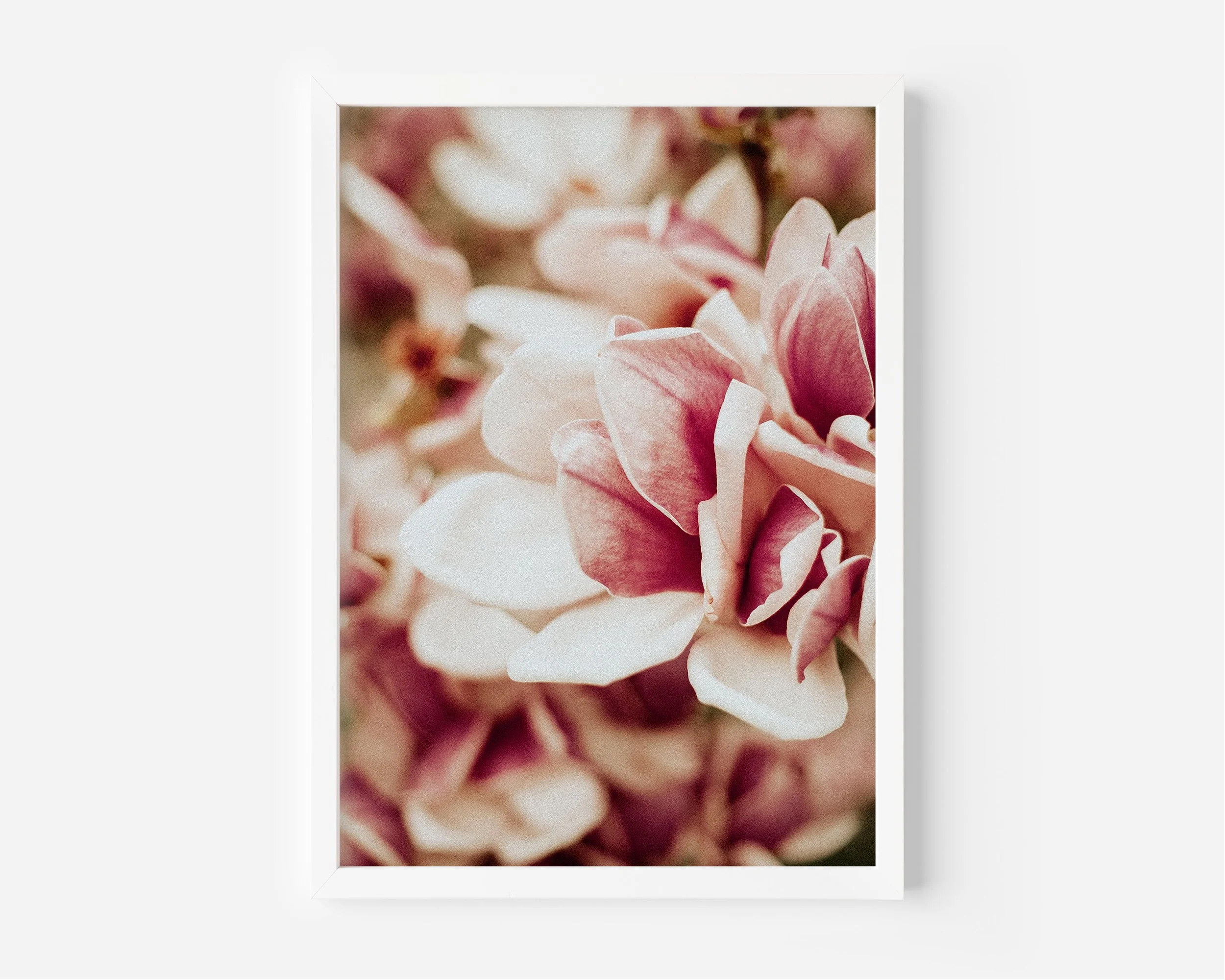 Pink Velvet XL White Frame.jpg