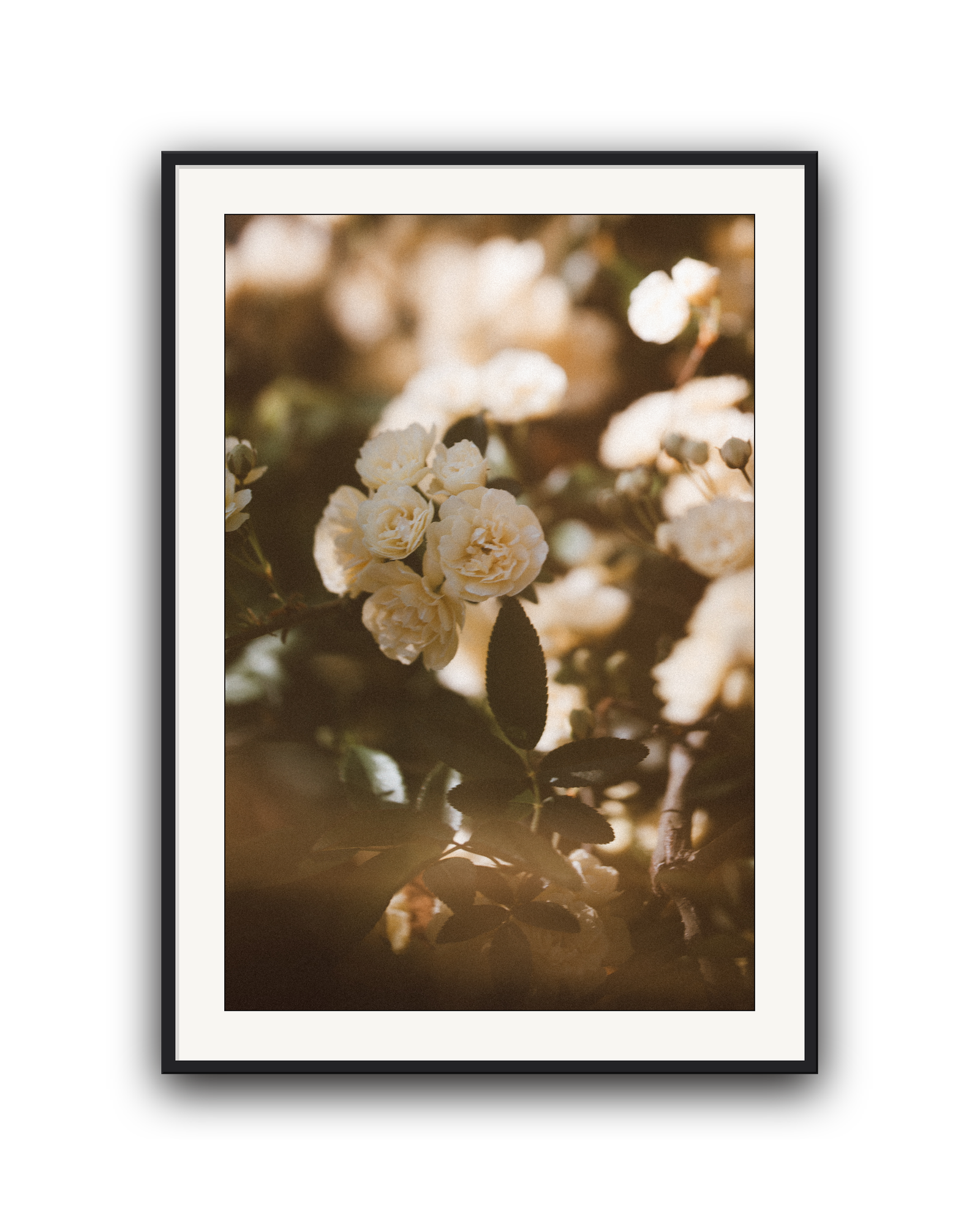 golden-hour-black-matted.png