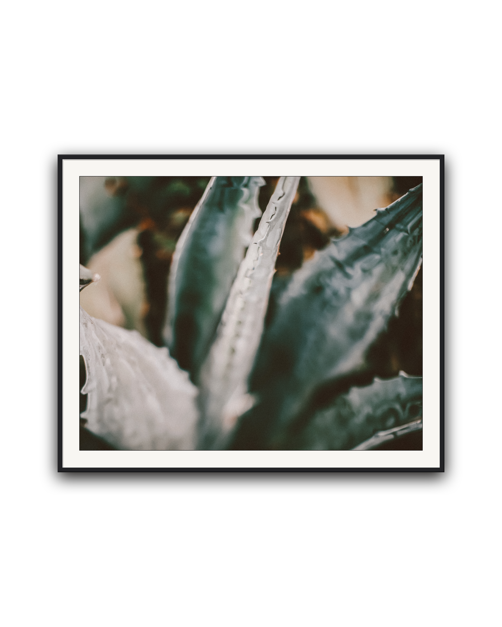 blue-agave-black-matted.png