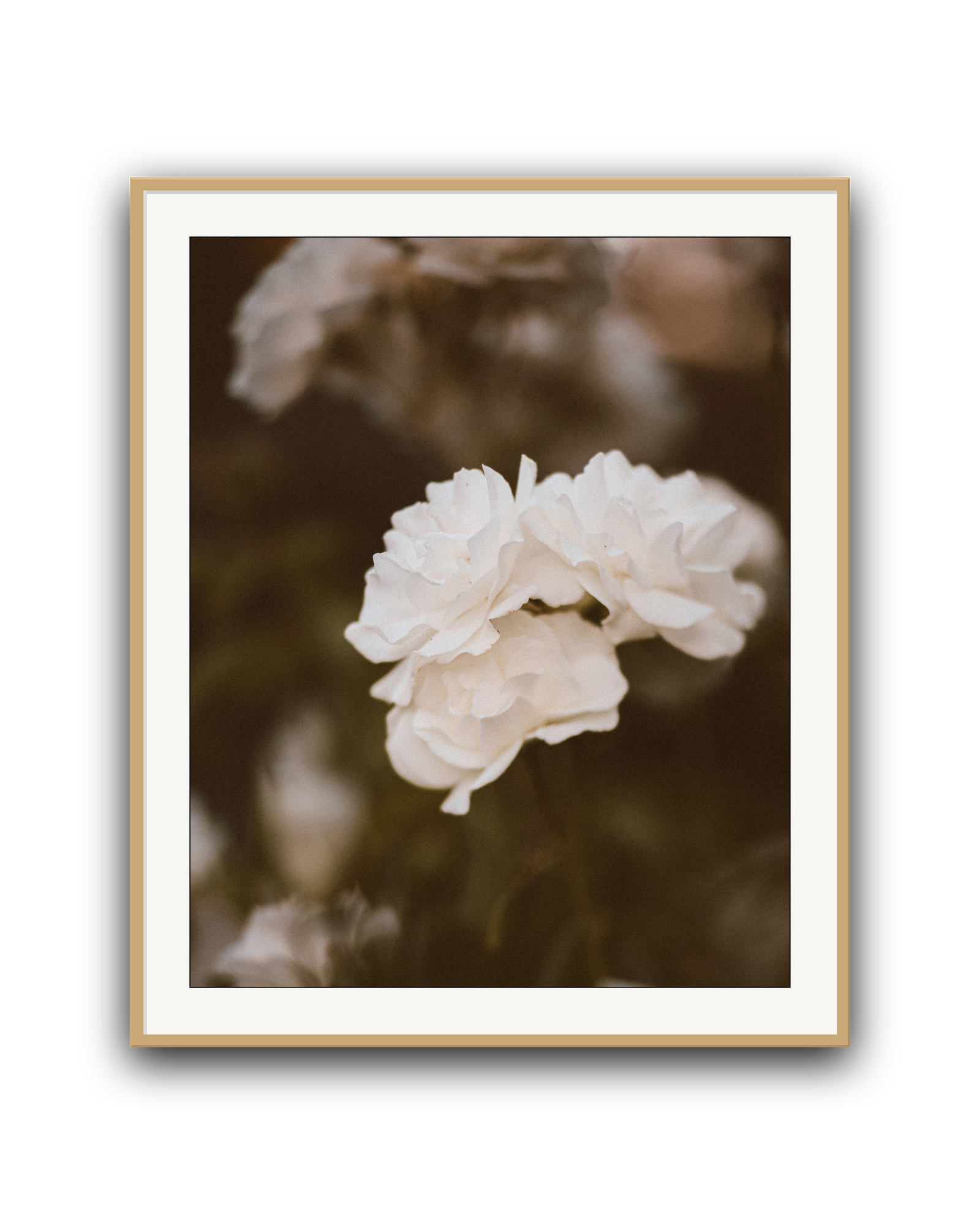 soft-light-oak-matted.png