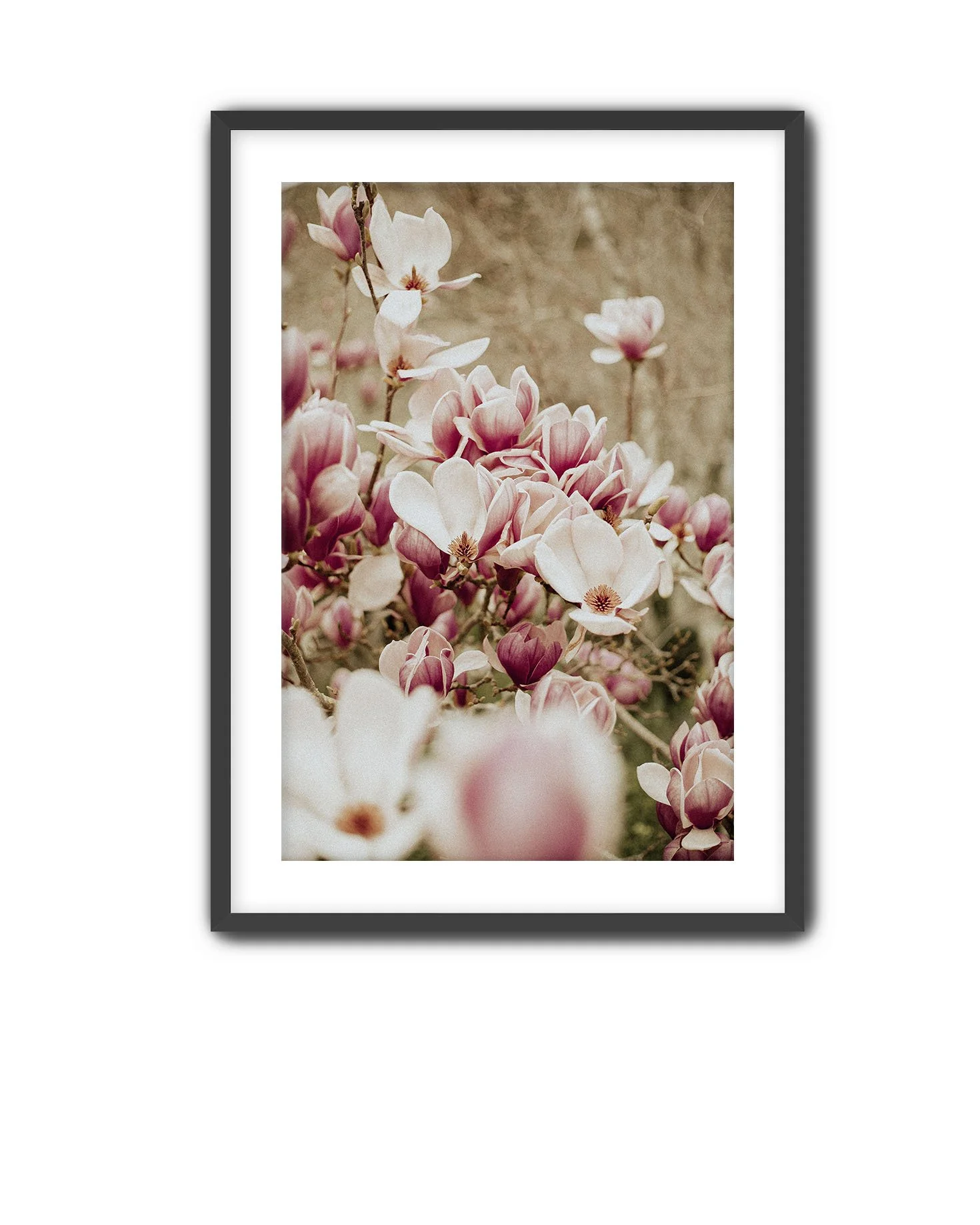 Black Frame Magnolia 11.jpg