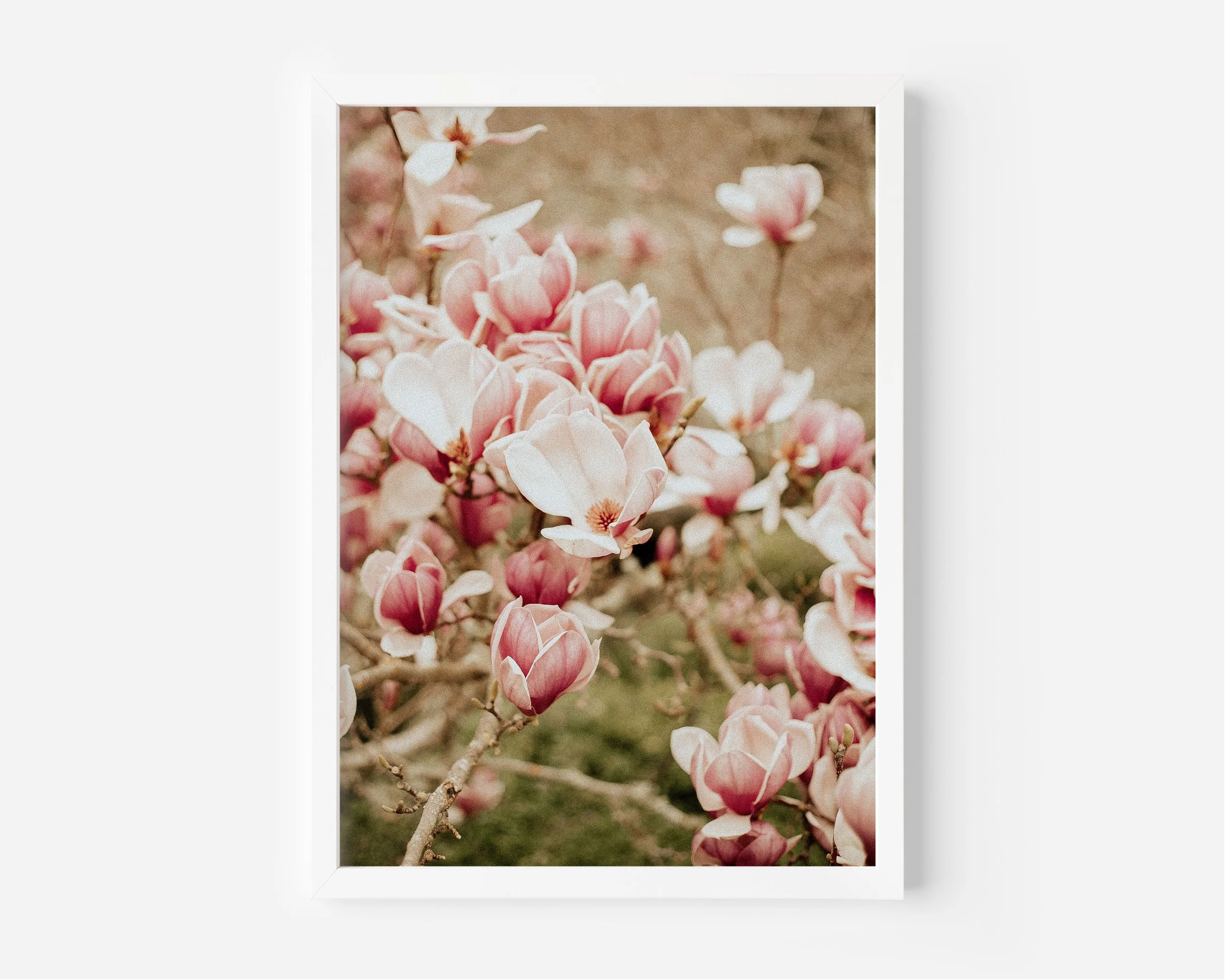 Open Hearted XL White Frame.jpg