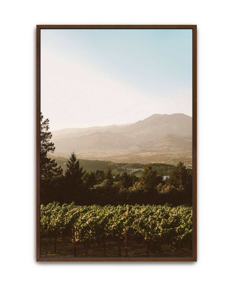 harvest-glow-walnut-canvas.png